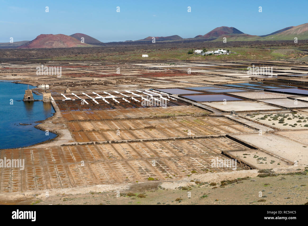 Salinas del Janubio, Wohnungen Salz in der Nähe von Playa Blanca, Lanzarote, Kanarische Inseln, Spanien. Stockfoto