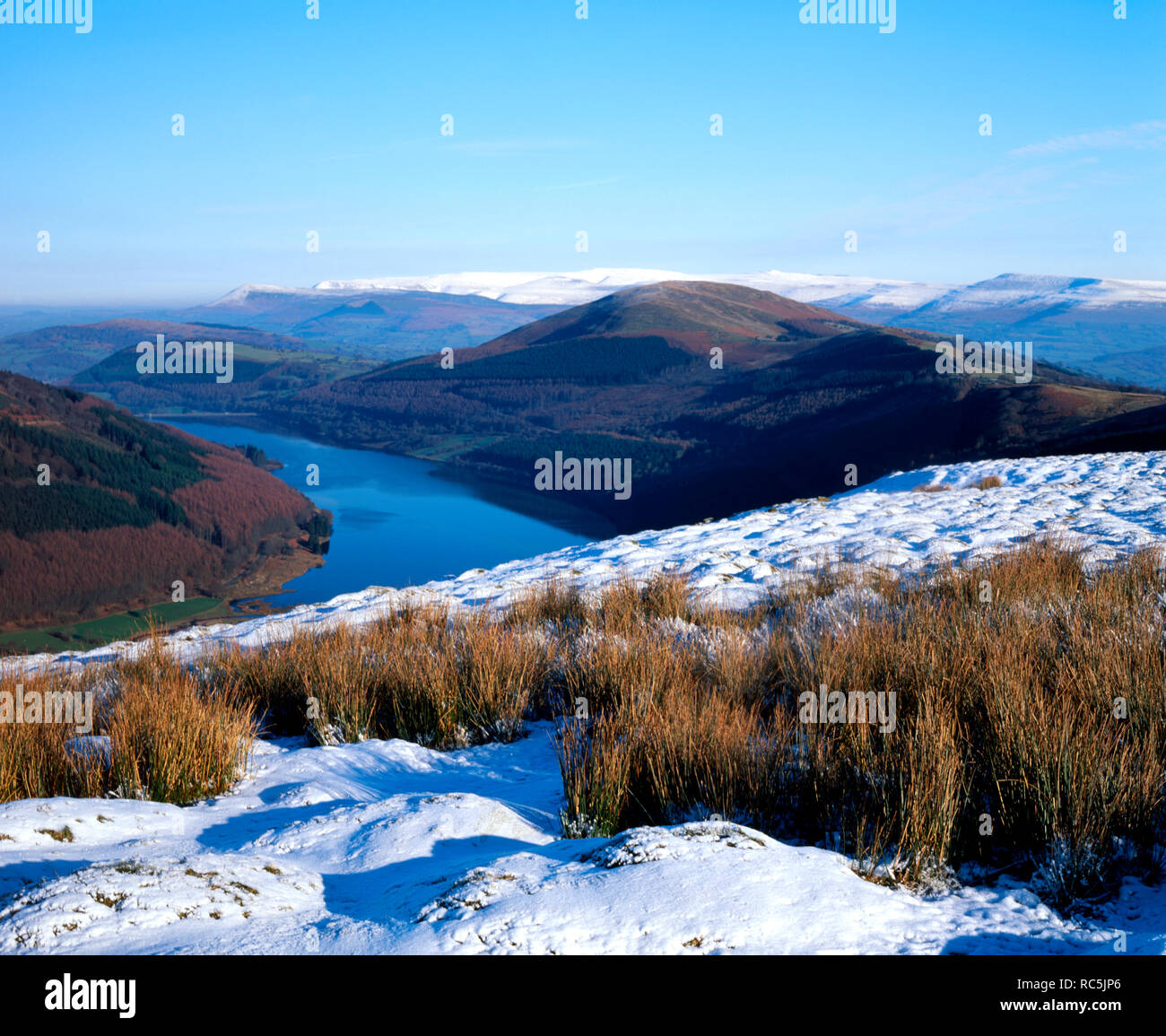 Talybont Reservoir, Glyn Collwn, Brecon Beacons National Park, Powys, Wales. Stockfoto