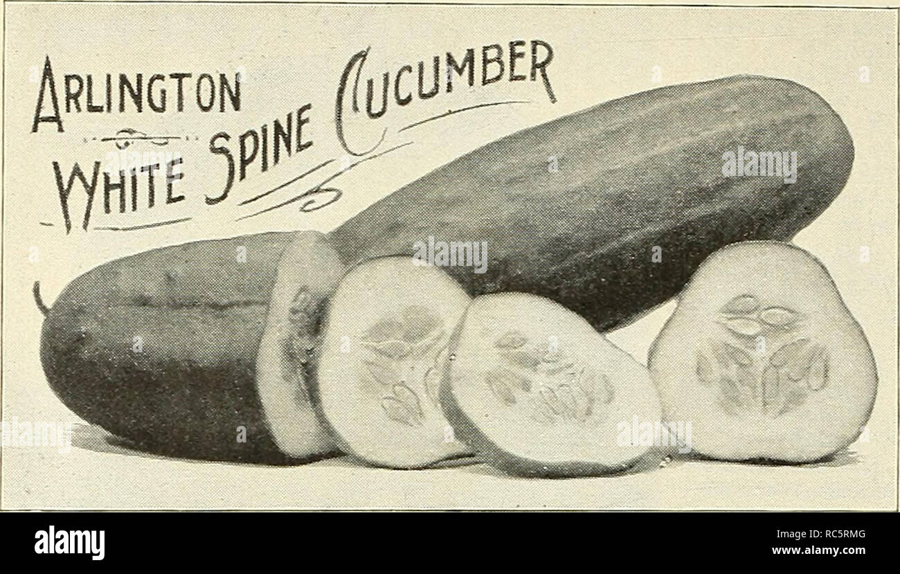 . Großhandel Dreer der Gärtner" Preisliste Zuverlässige Vegetable