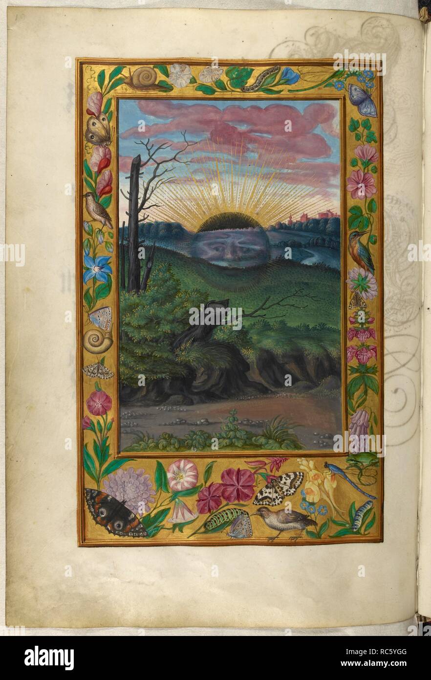 Abbildung des Fünften Abhandlung. Die Sonne mit einem menschlichen Gesicht  Einstellung auf einem abgedunkelten Landschaft, mit einer ummauerten Stadt  in der Ferne. Grenzen mit Blumen, Vögel und Insekten. Splendor Solis.  Deutschland; 1582.