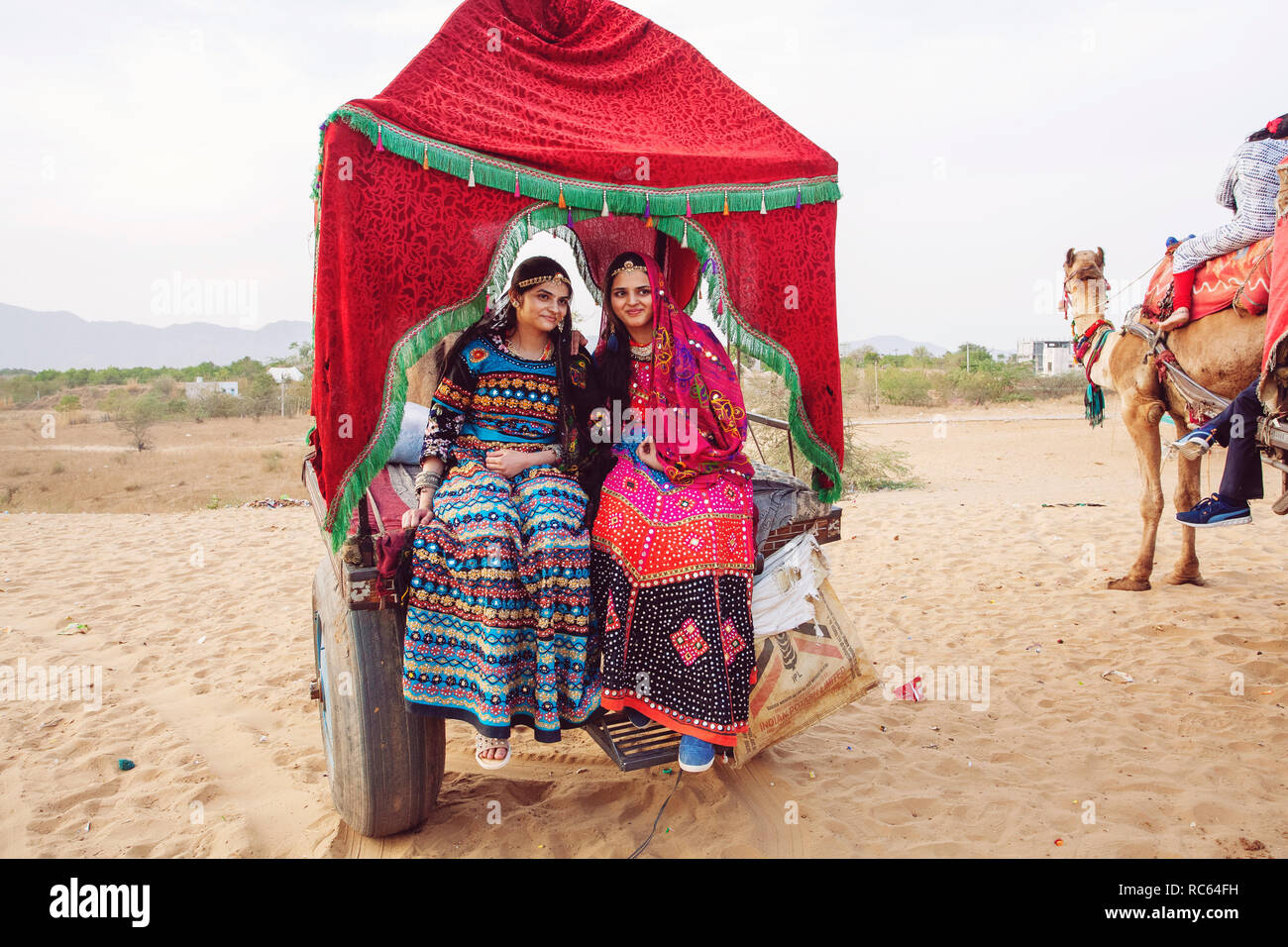 Pushkar, Rajasthan, Indien, Februar 2018: indische Mädchen in Camel Fahrzeug in Pushkar Wüste Stockfoto