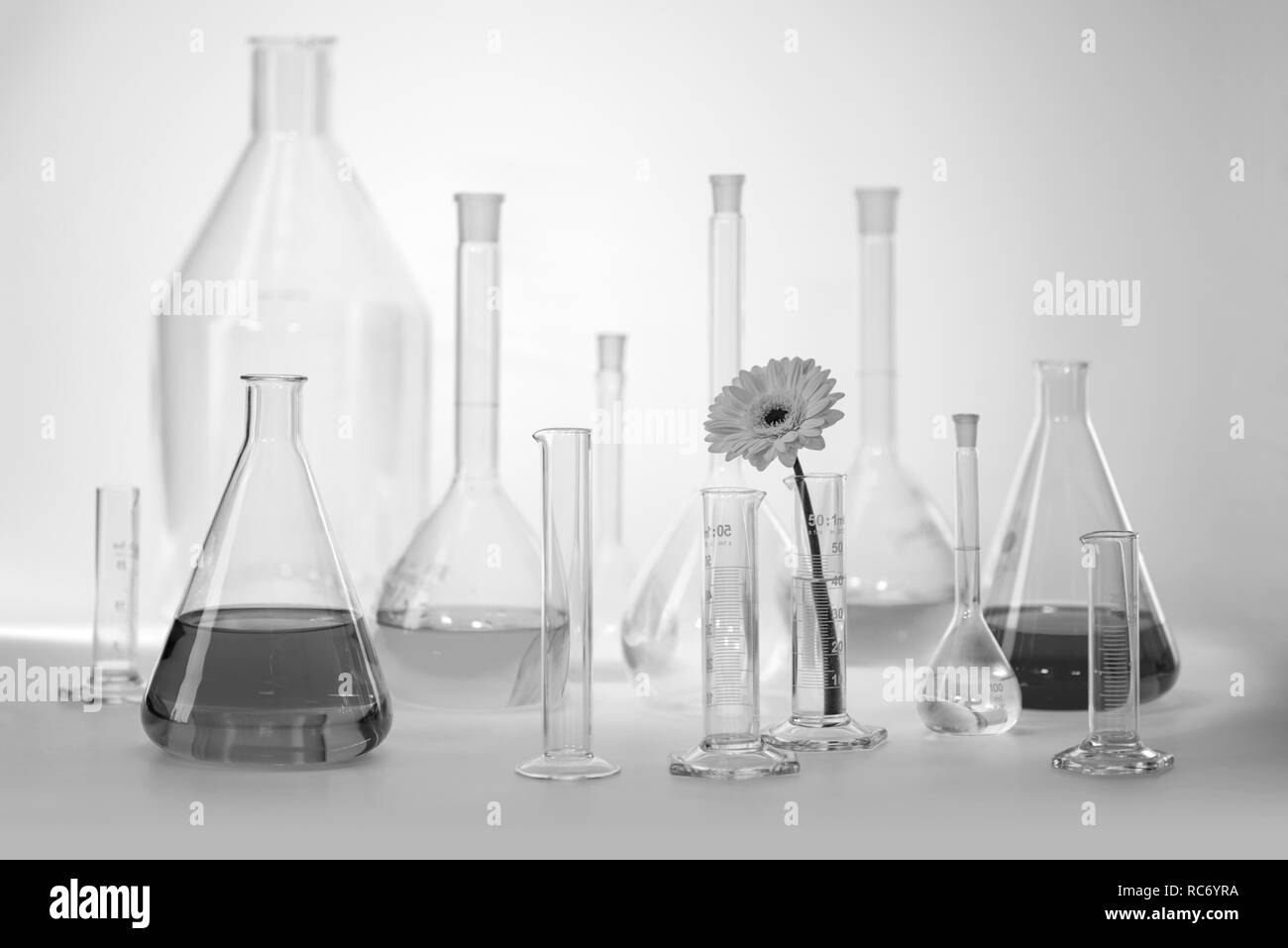 Schwarzweiß gedreht, die eine Vielzahl von teilweise ausgefüllte Laborglas einschließlich einer Blüte Stockfoto