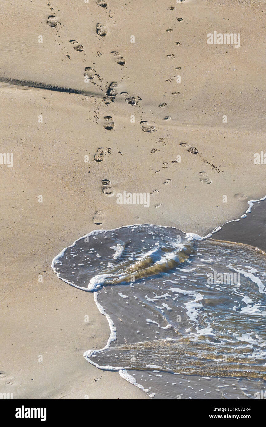 Flut über Abdrücke und pawprints auf einem Strand. Stockfoto