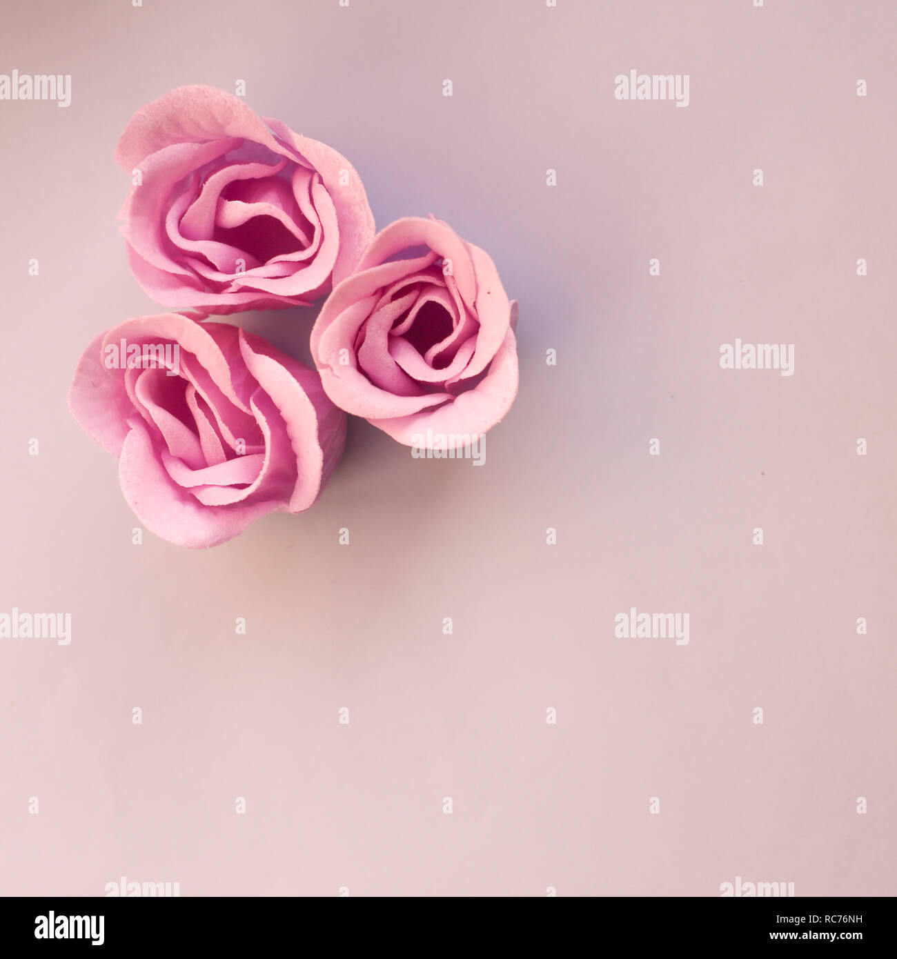 Drei rosa Rose Blumen auf hellblauem Hintergrund mit Kopie Raum Stockfoto