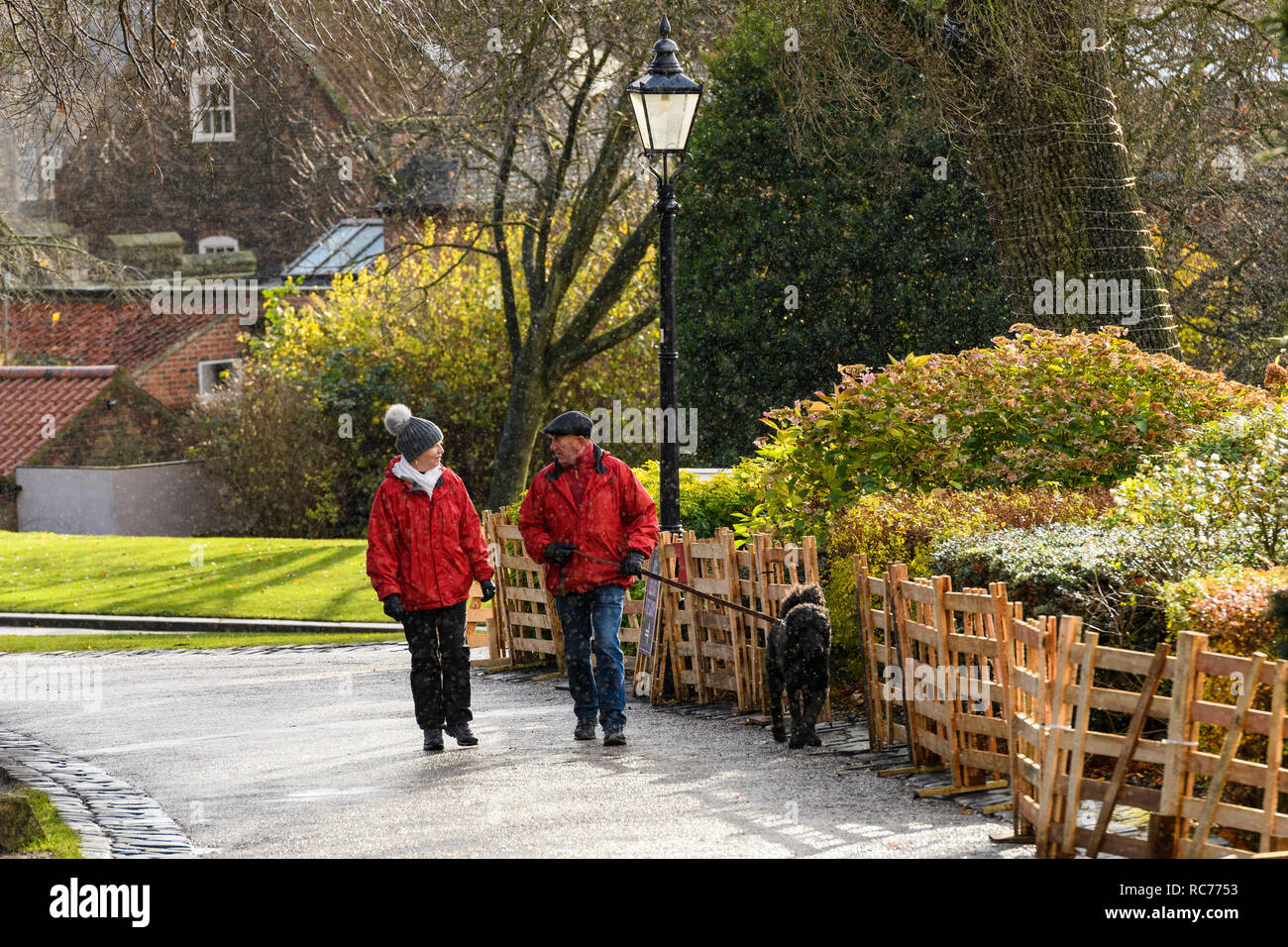Paar (reifen Mann&Frau) zusammen plaudern, wandern Hund auf Blei in Regen & Schnee, Schneeregen oder Regen bei kalten nassen Tag - Museum Gardens, York, Yorkshire, England, UK. Stockfoto