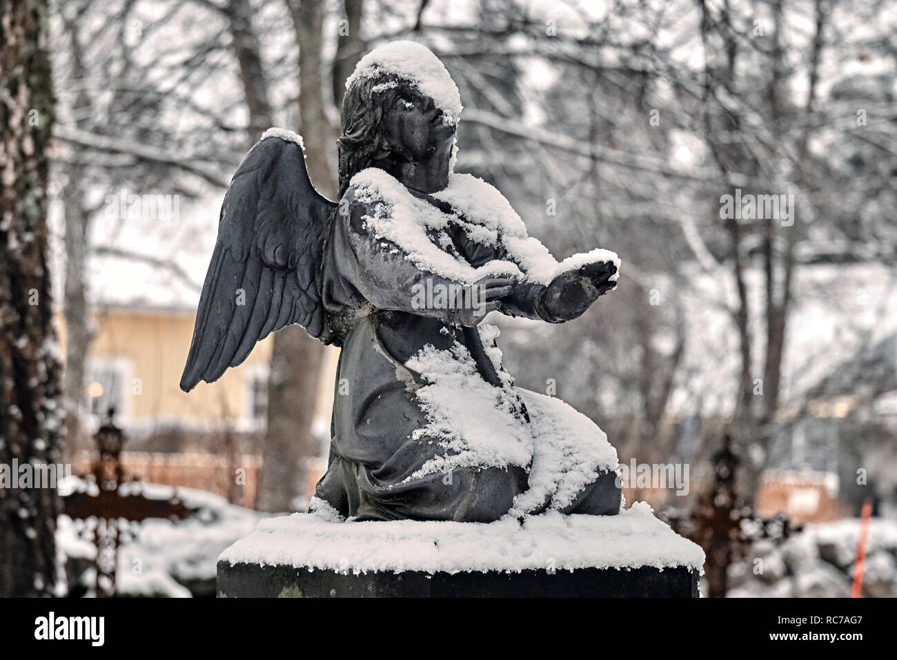 Gefrorene Engel mit Schnee auf dem Friedhof Friedhof im Winter abgedeckt. Stockfoto