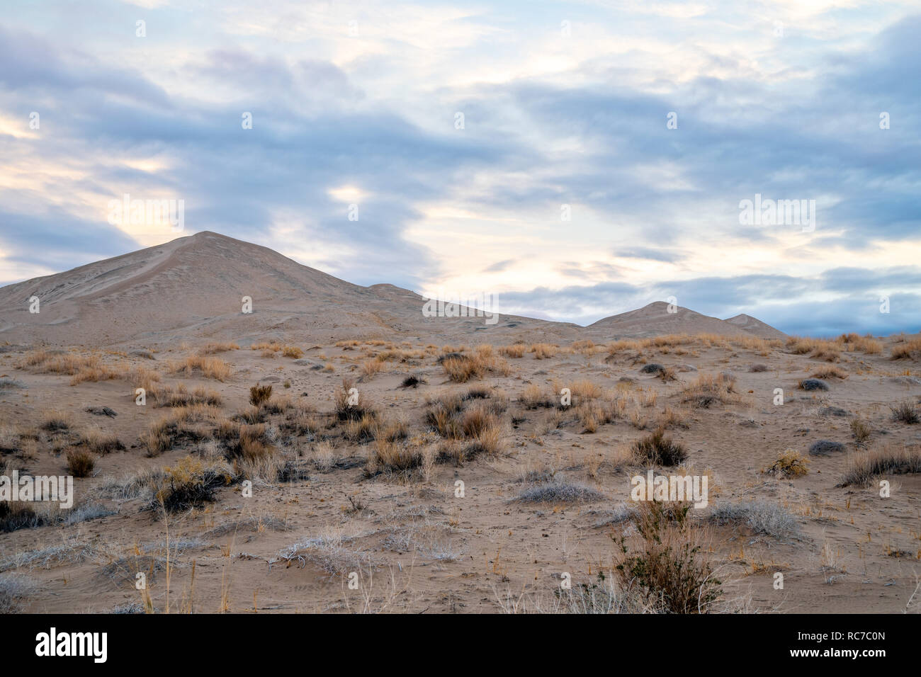 Anzeigen von Kelso Sanddünen aus dem Westen Parkplatz. Mojave National Preserve, Califronia Stockfoto