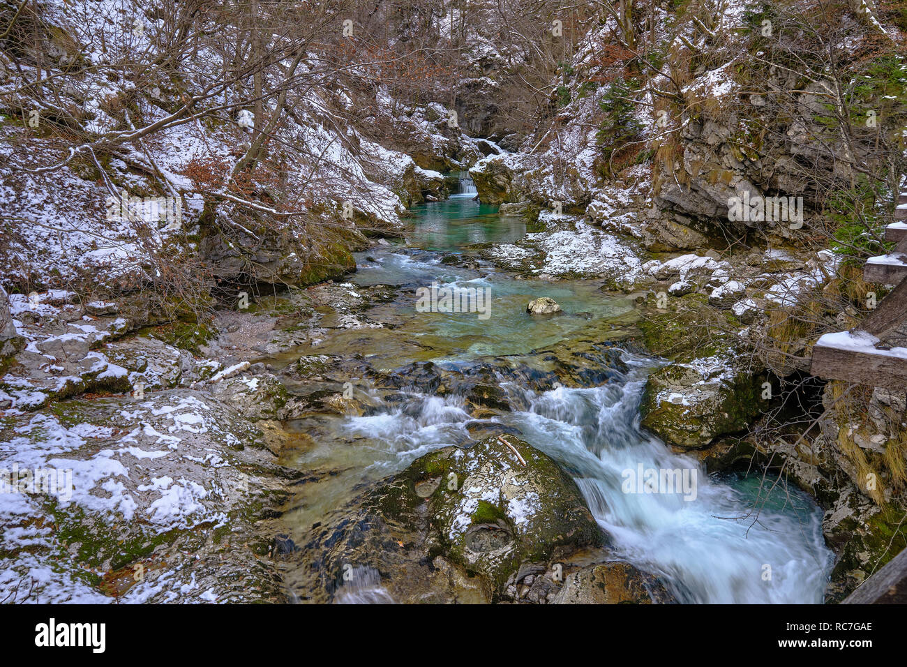 Grünes Wasser Fluss durch eine felsige bewaldeten Schlucht nach ein helles Abstauben auf Schnee. in Vintgar Slowenien Stockfoto