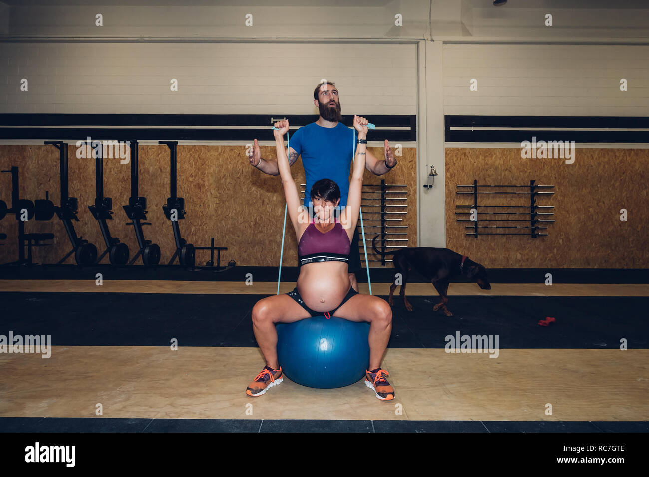 Trainer führen schwangere Frau mit Hilfe von Seilen in der Turnhalle Stockfoto