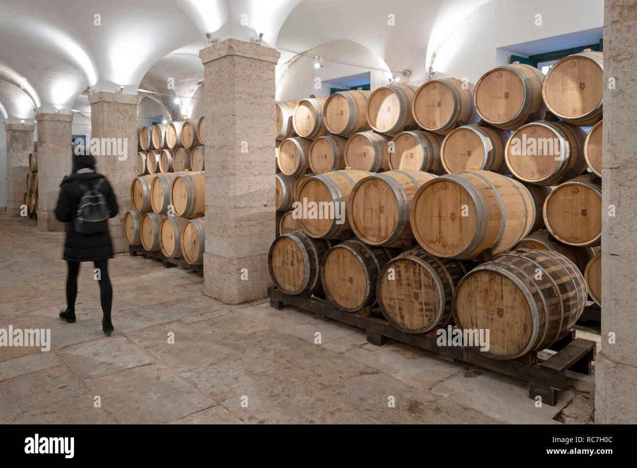 Alterung von Wein in Fässer im Keller des Marques de Pombal Palace - Palácio do Marquês de Pombal, Oeiras, Portugal, Europa Stockfoto
