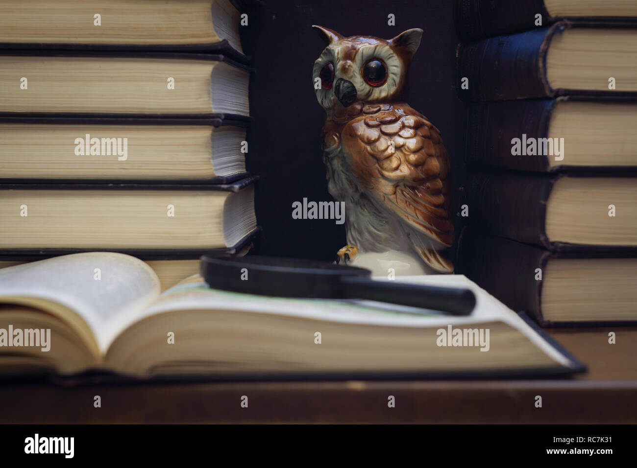 Owl unter den Stapel der Bücher Konzept der Weisheit Stockfoto