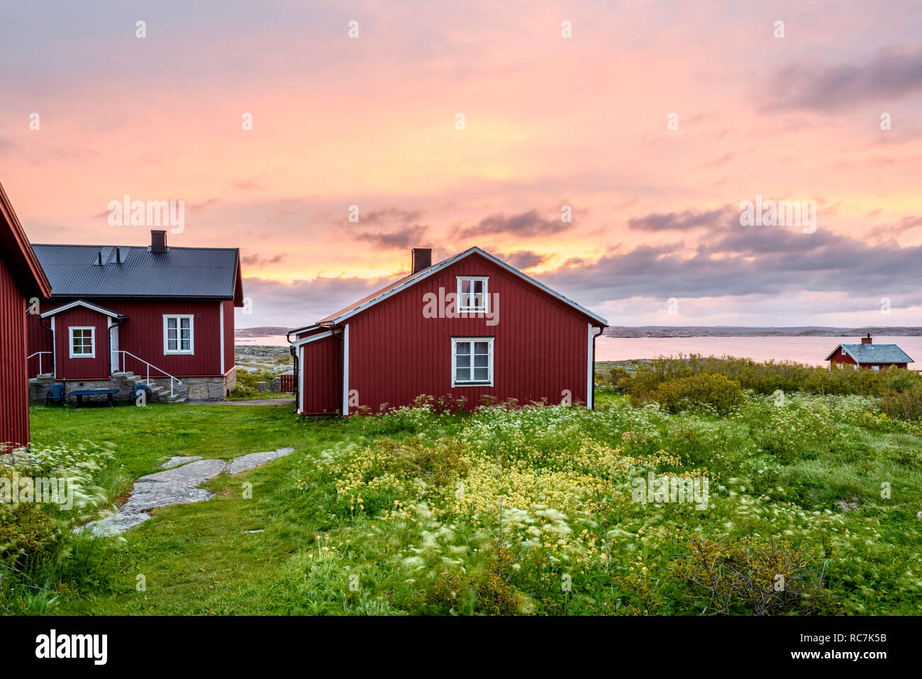 Rote Falun Cottages mit Blick auf das Meer im Hintergrund Stockfoto