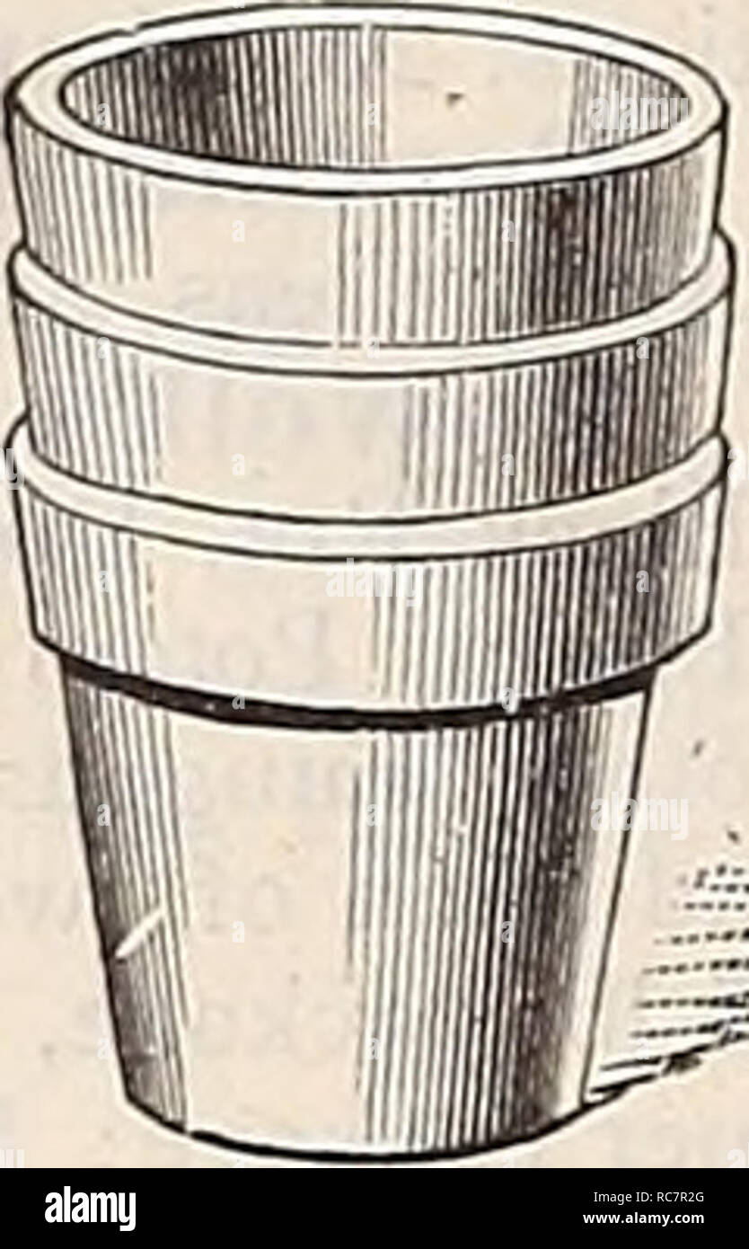 . Dreer's Garten Kalender: 1896. Samen Kataloge; Baumschulen Kataloge; Gartengeräte und Zubehör Kataloge; Blumen Samen Kataloge; Gemüse; Früchte Samen Samen Kataloge Kataloge. Platz Saatschalen. Jede. 6 inch $.20... 8" 25... 10" 30 ... 12" 35 ... Runde Lily Pfannen. Jede. 8 in. 10 "d bin.; 4. 5" tief. . $ 0,10. .15 12" 14" 16" 6" 7" 8"":. .20. .40. .85 18"9"". 1.28 20"" 10"". 1,70 Dutzend. $ 2.25 2.70 3.15 3.60 Dutzend. $ .90 1,65 2 25 Tso 9,00 1350 18,00 Standard Flow Stockfoto