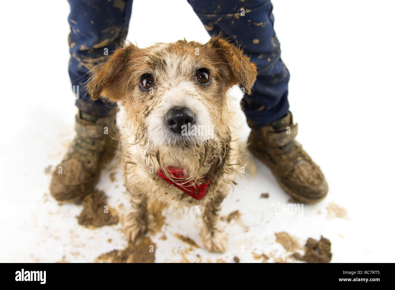 Tierbeine Im Schlamm Stockfotos und bilder Kaufen Alamy