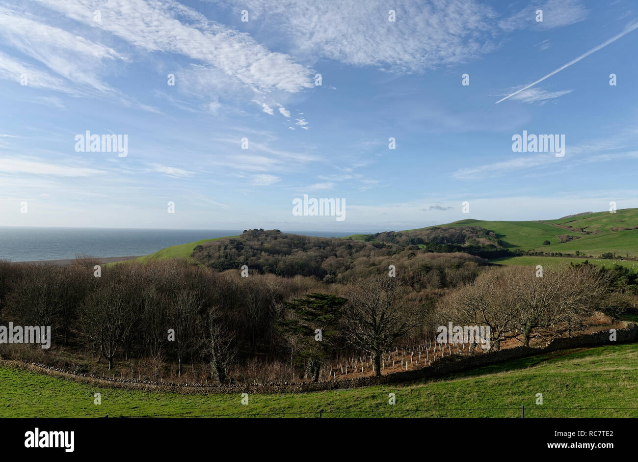 Dorset Landschaft aus Meer, Wälder und sanften, grünen Hügeln. Stockfoto