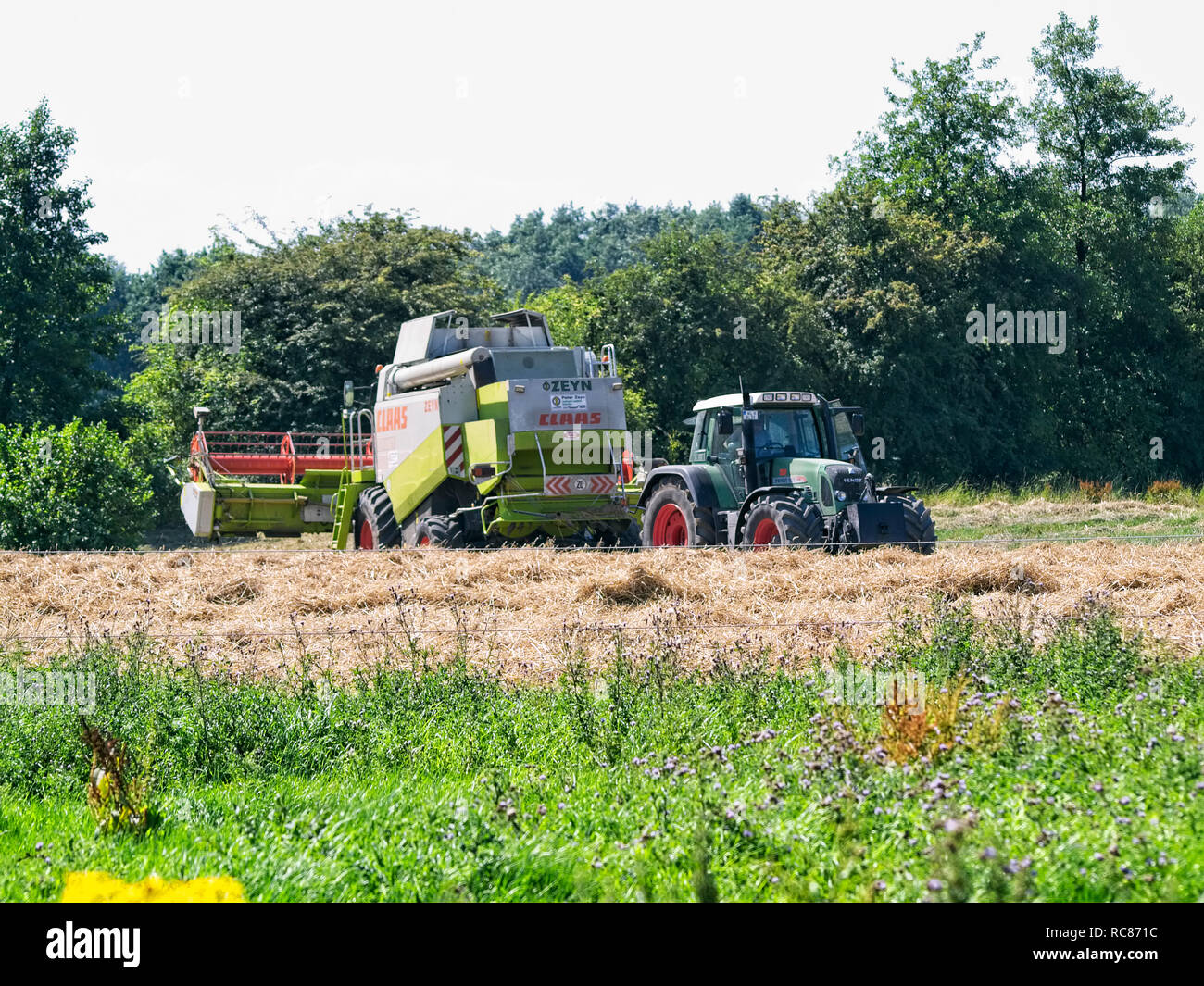 Mähdrescher in einem Feld Struktur in Niedersachsen in der Nähe von Barum, Elbmarsch, Deutschland fest. Stockfoto