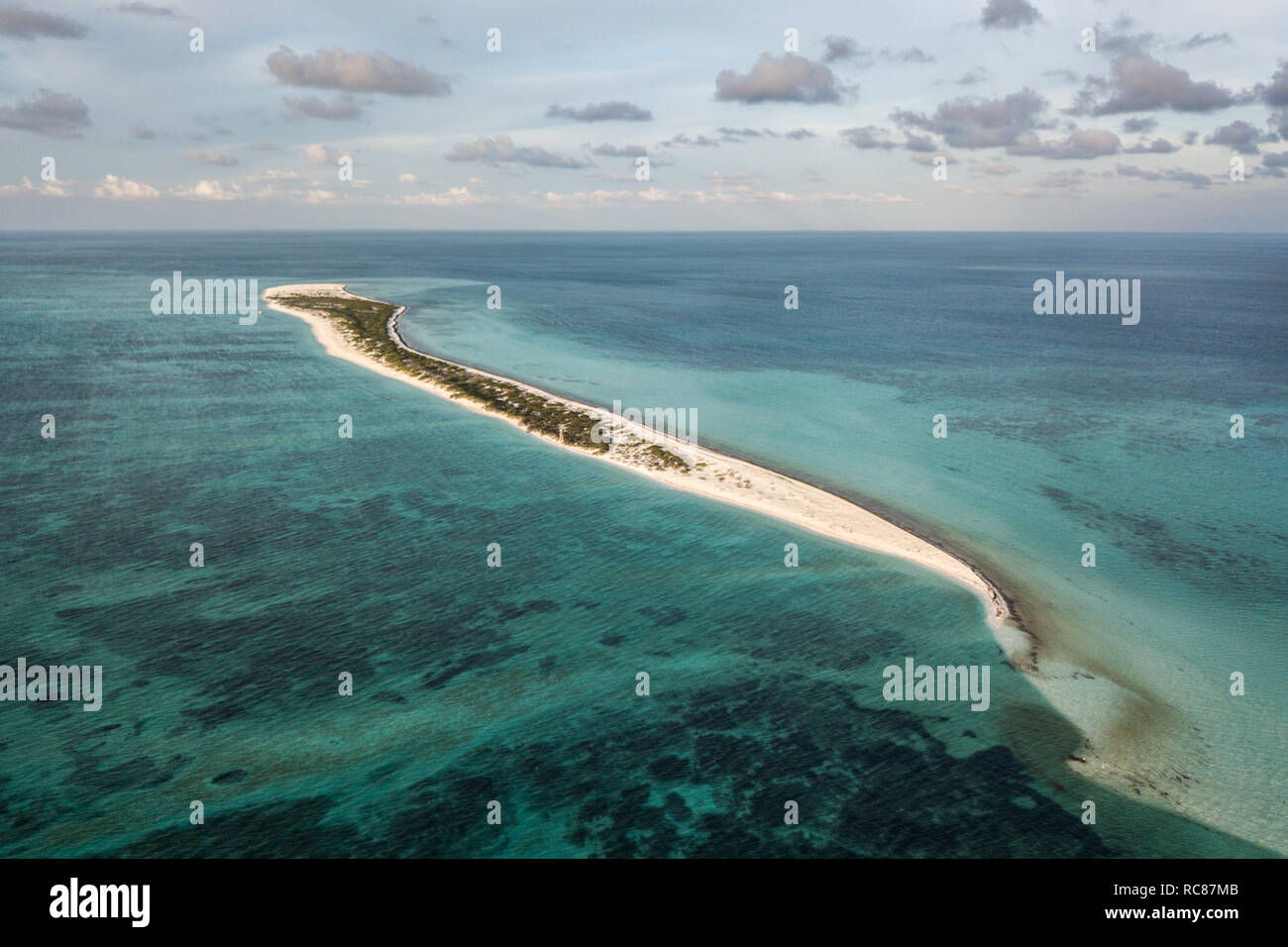 Reef Life und Cay, Alacranes, Campeche, Mexiko Stockfoto