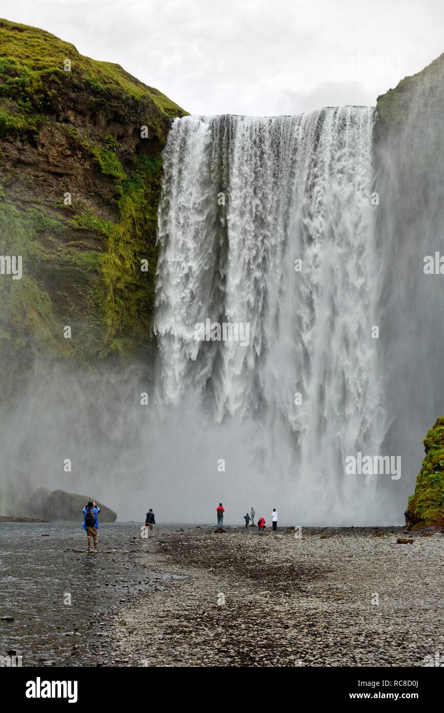 Skogafoss, Wasserfall in der Nähe der Ringstraße, Rangárvallahreppur, Sudurland, South Island, Island Stockfoto