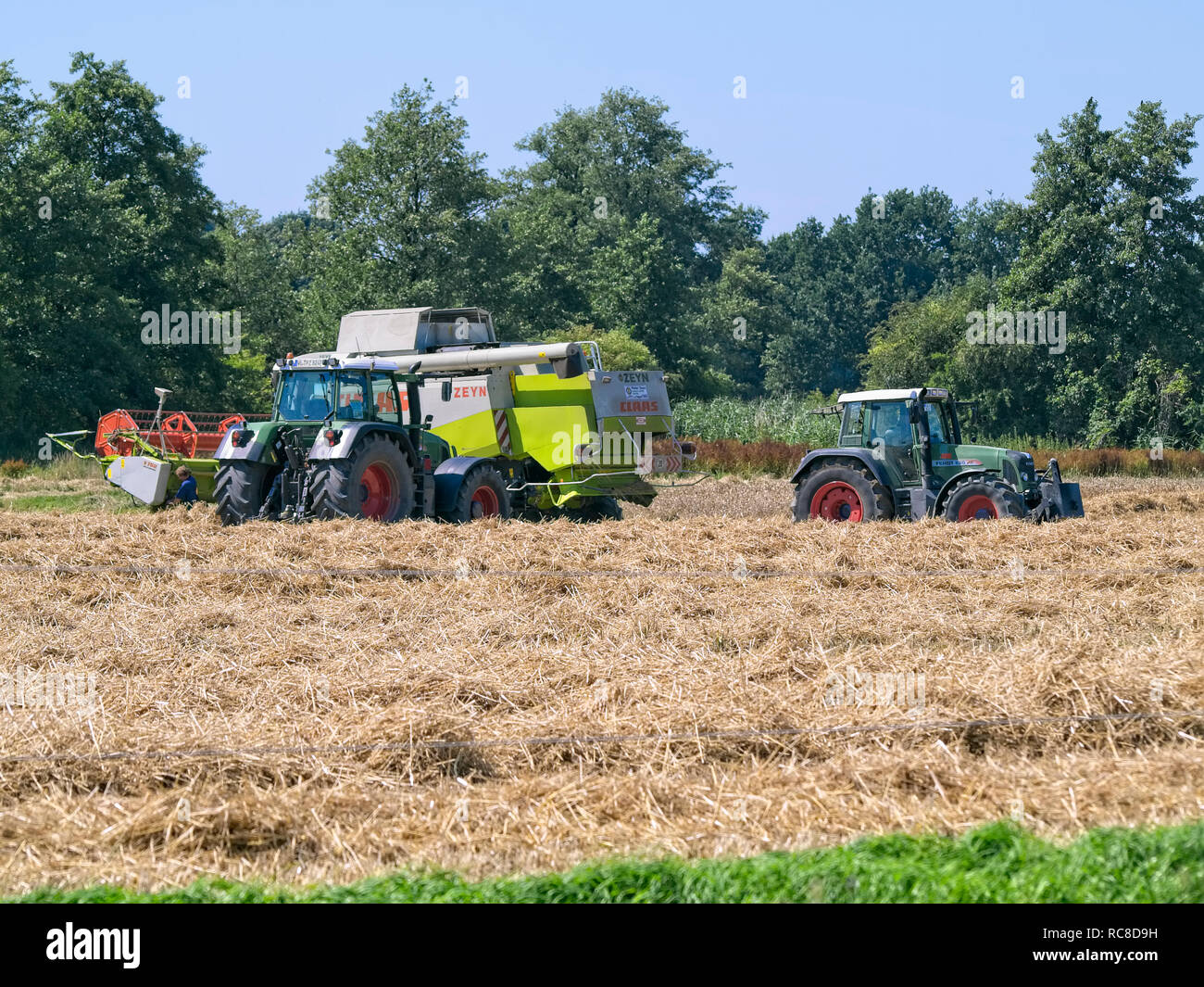 Mähdrescher in einem Feld Struktur in Niedersachsen in der Nähe von Barum, Elbmarsch, Deutschland fest. Stockfoto