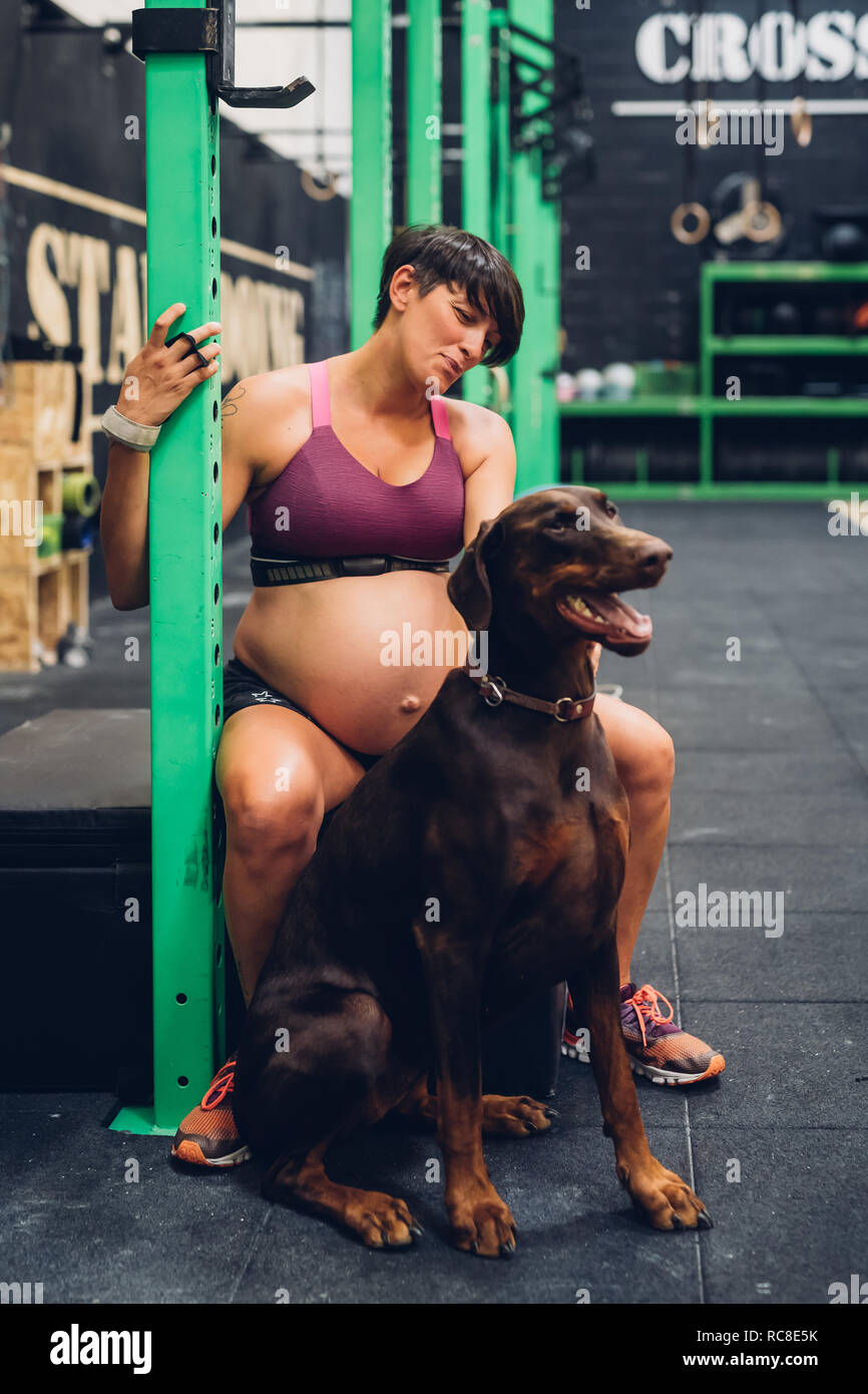 Schwangere Frau und Hund in der Turnhalle sitzen Stockfoto