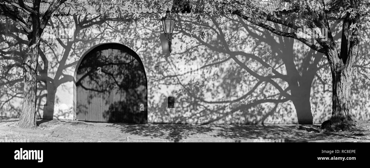 Prag - Das acacias Für die Wand der Kapuziner Kloster. Stockfoto