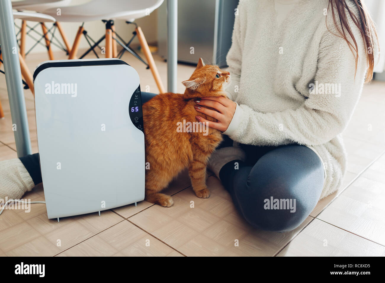 Luftentfeuchter mit Touch Panel, Feuchtigkeit, UV-Lampe, Luftionisators, Wasser  Behälter arbeitet zu Hause, während Frau spielen mit Katze. Lufttrockner  Stockfotografie - Alamy