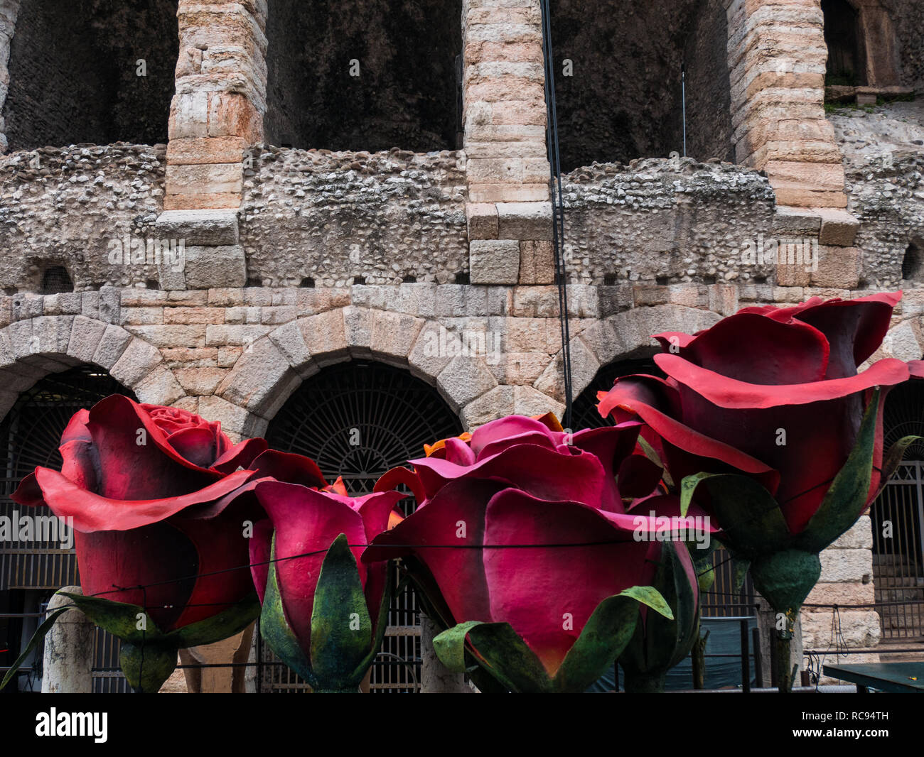 Riesige rote Rosen vor der Arena von Verona, ein Symbol der Liebe, ideal um das Konzept der Liebe zu vertreten Stockfoto
