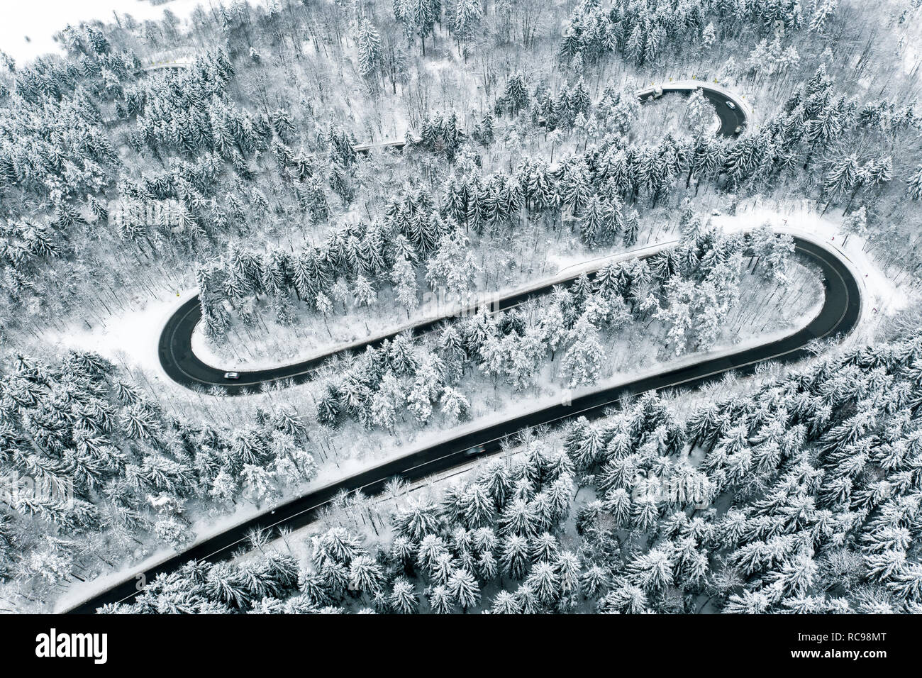 Gebogene kurvenreiche Straße in den Wald im Winter Stockfoto