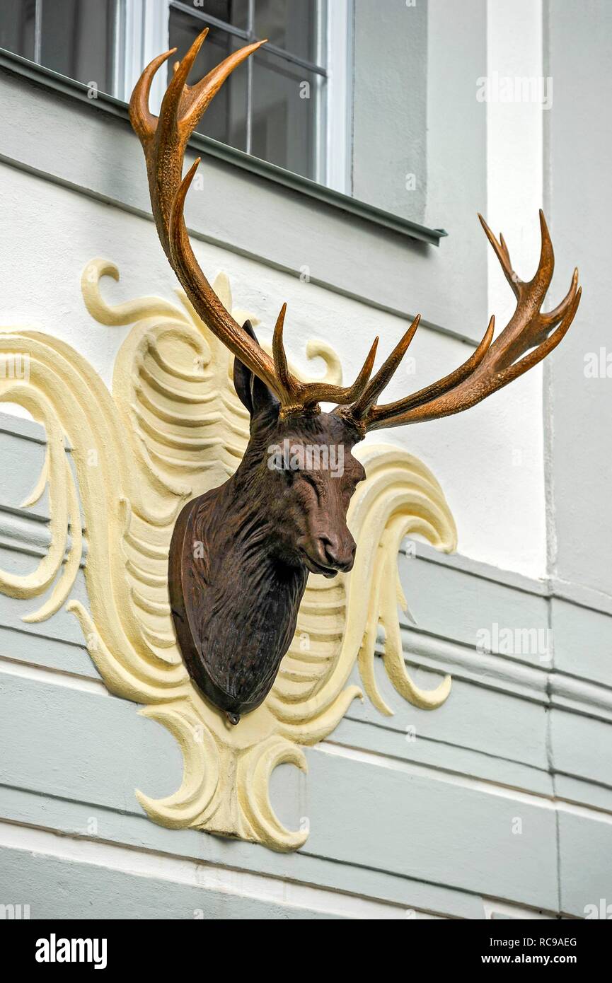 Skulptur Hirschkopf mit Geweih, Schloss, Rokoko Schloss Hirschberg, Beilngries, Oberbayern, Bayern, Deutschland Stockfoto