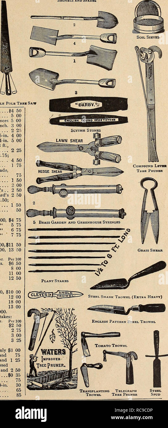 . Dreer's Garten Buch 1919. Samen Kataloge; Baumschulen Kataloge; Gartengeräte und Zubehör Kataloge; Blumen Samen Kataloge; Gemüse; Früchte Samen Samen Kataloge Kataloge. Schaufeln und Spaten gr-^= "^IjOPPINg scher Grenze Schere einstellbare Stange Trbb sah Scheren. Gras Grenze, 8-in. Blade, $ 4,00; 10-in $ 4 50 mit Rädern, 8-in. Blade, $ 4,50; 10-in-5 00 Rasen, 2 Räder, 9-in. Blade, für unter Bäume und Zäune 5 00 Hecken, Englisch, 8-Zoll. $ 2,50; 9-Zoll. $ 2,75; 10-Zoll. 3 00 Damen Garten oder Hedge, 5^ in. Blade 2 25 Stutzend Scherer, 20 in., $ 1,50; 23-in., $ 3,50; 25-in. 4 00 Englisch, 27. Stockfoto