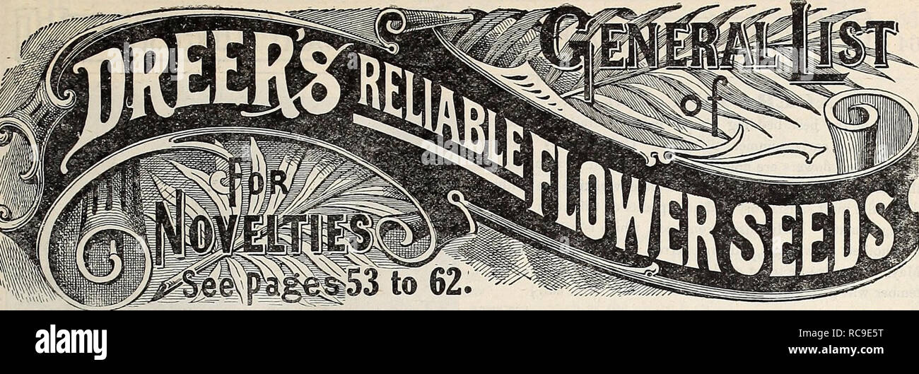 . Dreer's Garten Buch 1917. Samen Kataloge; Baumschulen Kataloge; Gartengeräte und Zubehör Kataloge; Blumen Samen Kataloge; Gemüse; Früchte Samen Samen Kataloge Kataloge. 12 Art, unsere Auswahl. 25" 12" 12" 12" 12" eine Reihe von verdienstvollen Art hat zu unserer Liste gewesen diese Jahreszeit hinzugefügt. Alle minderwertigen Sorten und Arten schwer verworfen, um zu wachsen. Für den Komfort unserer Kunden und die Füllung von Bestellungen zu erleichtern, ist es nur notwendig, bei der Bestellung die Anzahl der Pakete zu geben wollte und die entsprechende Zahl im Katalog, nämlich: 1 Pk Stockfoto