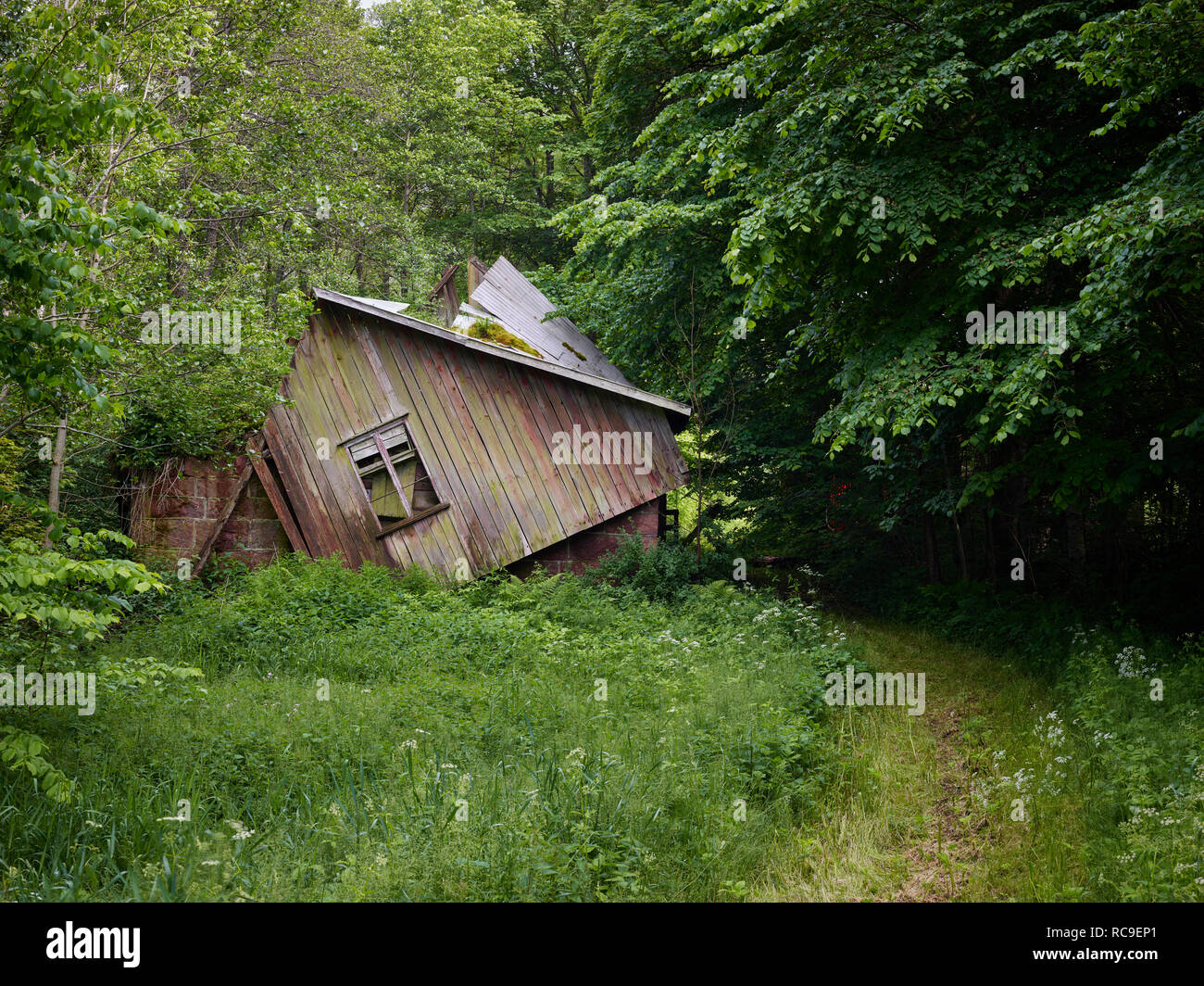 Verlassenen Holzhütte im Wald Stockfoto