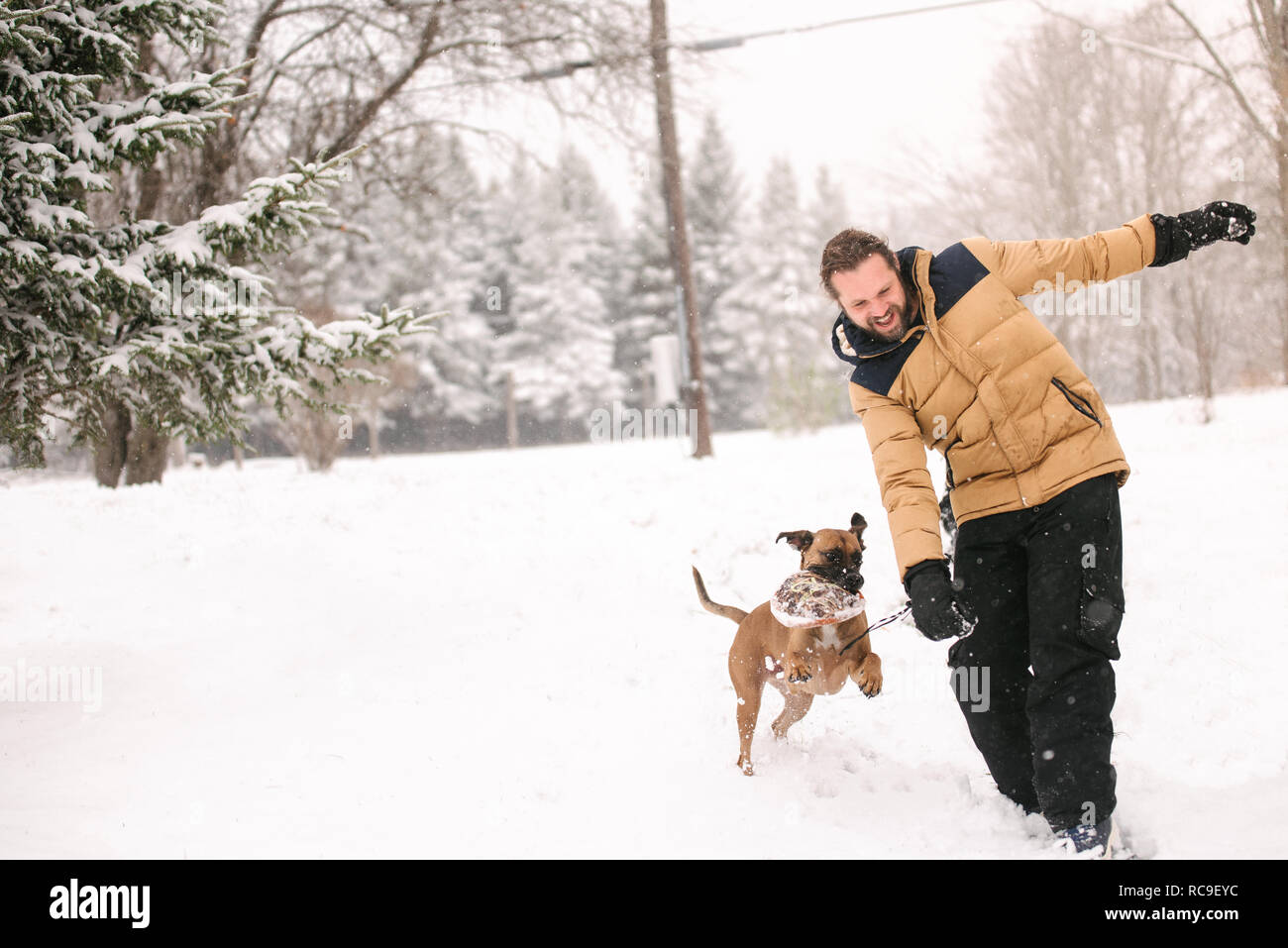 Mensch und Hund spielen mit Spielzeug Stockfoto