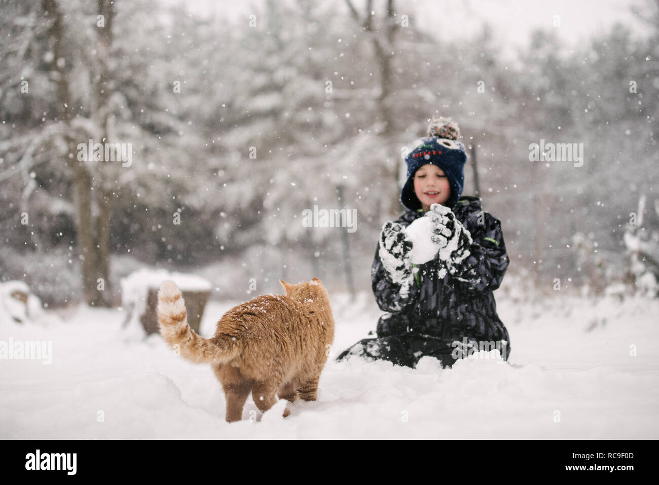 Junge versucht Schneeball Katze zu werfen Stockfoto