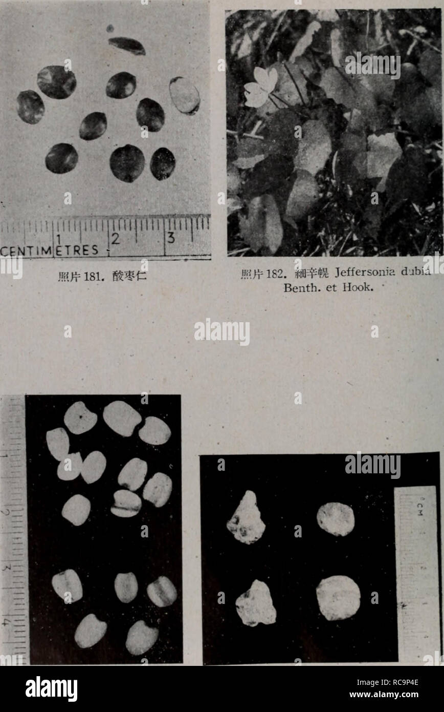 Ren xiao yao Fotos und Bildmaterial in hoher Auflösung Alamy