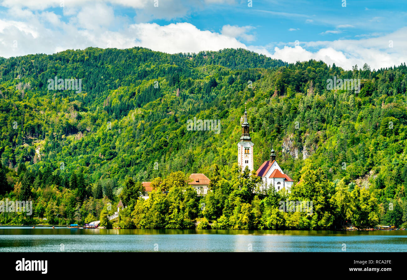 Kirche der Himmelfahrt der Maria auf der Insel Bled in Slowenien Stockfoto