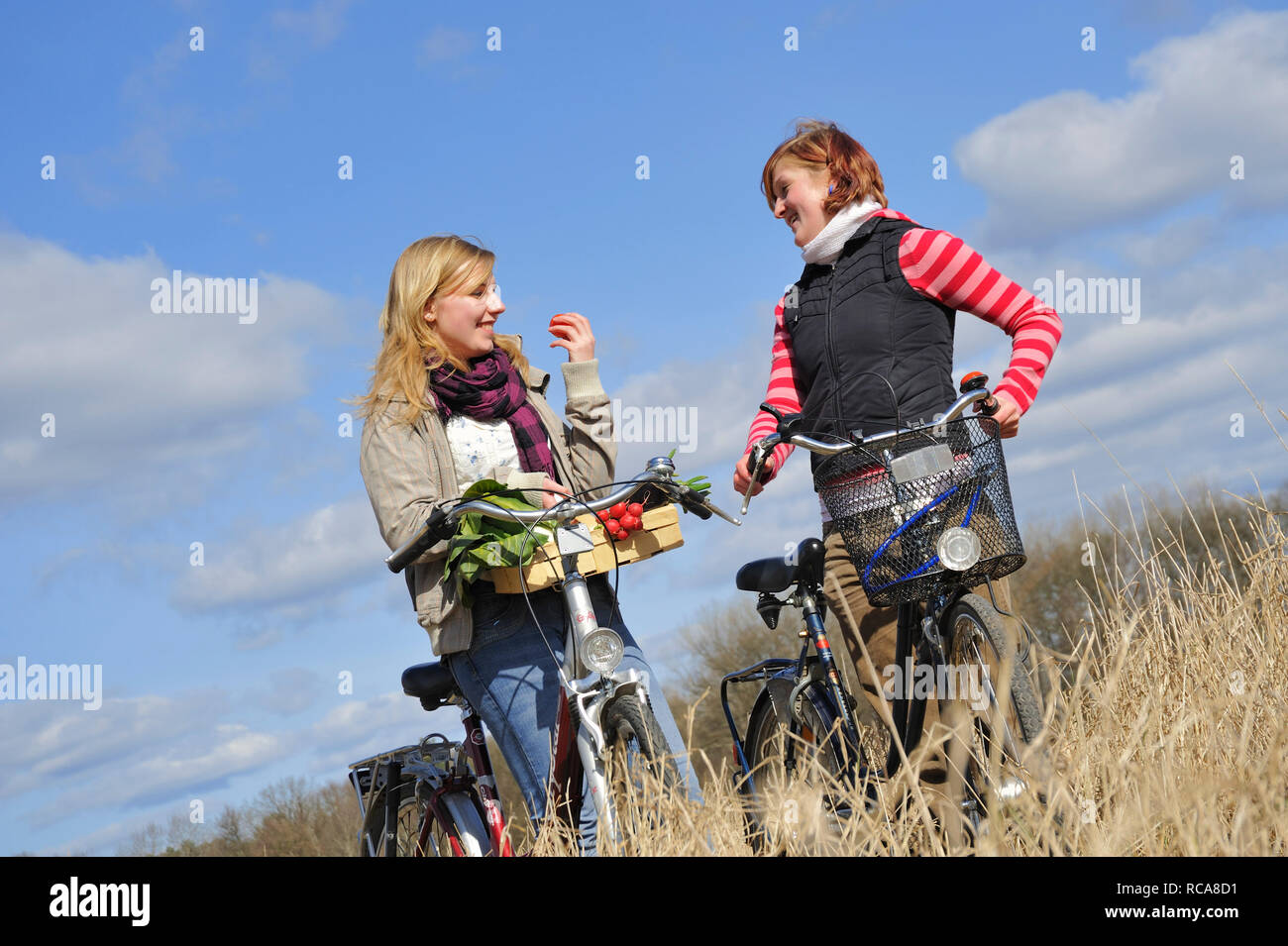 Zwei jungendliche Frauen mit Fahrrad und Gemüsekorb - junges Gemüse | zwei junge Frauen mit ihrem Fahrrad und ein Gemüse Warenkorb Stockfoto