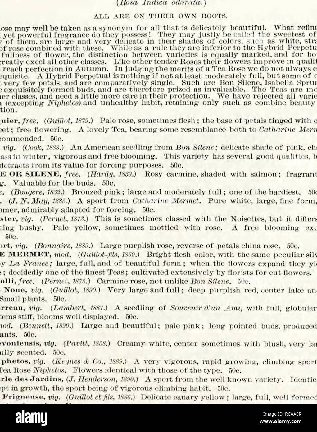 . Ellwanger &Amp; Barry's allgemein Katalog. Baumschulen (Gartenbau); Baumschulen; Obstbäume; Bäume, blühende Bäume, Sträucher; blühende Sträucher; Evergreens; Beeren; Glühlampen (Pflanzen); Ellwanger &Amp; Barry. OENERA L CA TA LOG IN GROSSBRITANNIEN. 141 Coiiiil.-KS-Ai. im Thuii. piy. (.*/Uj) ert ami NoUing, 1 SS 7.) Golden oransre Gelb; larjre, voll, cupveti, sehr Fra-gewähren. Ml: Uiu Hessen&lt;!. • ISraUant, cifl. (Beriiede, 1 S 57.) Syn. Comte" Ke Ian (s. 50C. Elise Fugler, Leszek Baraniec. (Bonnaire, 1 S!K&gt;.) Scctllmg eines^ ipltctm, beschrieben als res". vs.) Uirfre. voll, fein lorm.-.l: Si&gt; lt cnrmitic Rose; bnd lony stattliche Stockfoto