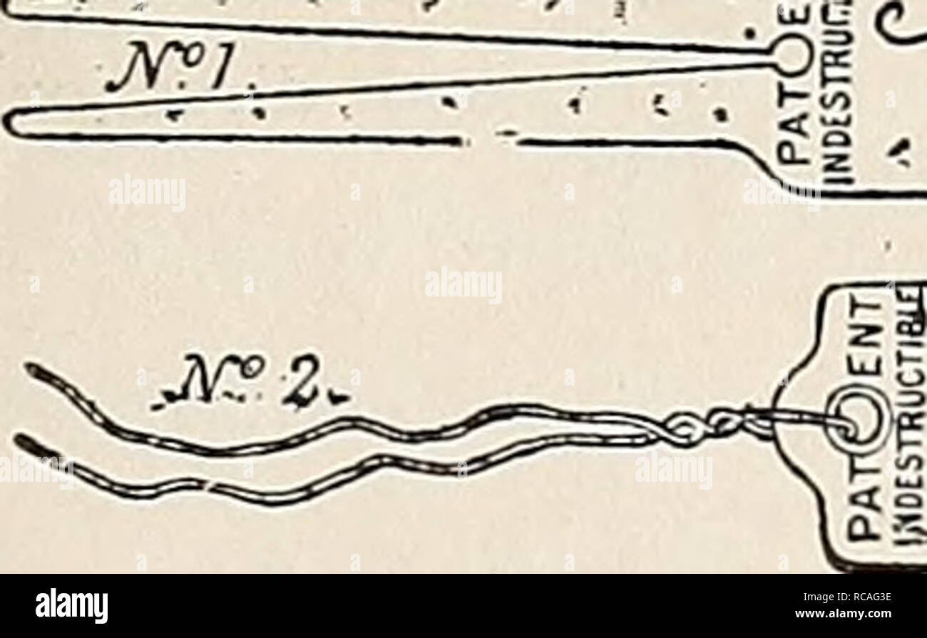 . Dreer ist Herbst Katalog: 1895. Die Glühbirnen (Pflanzen) Kataloge; Blumen Samen Kataloge; Gartengeräte und Zubehör Kataloge; Baumschulen (Gartenbau) Kataloge; Frucht Samen Kataloge. 3K in. So 10 So 75 4" • • 12 85 4 K" • • 15 1 03 5". 20 1 10 6. So 25 Si 25 - 35 2 50¢. 50 4 00 75 5 25 WIES BAUM LABELS (Holz). 3} 4 Zoll, eingekerbt oder durchbohrt. 15 cts. 100, $ 1 pro 1.000. - / Wenn. . Jlos-t2 l<^/) - e. Unzerstörbar KUPFER ETIKETTEN. Von vorbereiteten Kupfer; sehr dünn und biegsam; kann mit einem Bleistift geschrieben werden oder spitzen Stück Holz, das in der - Dellen der Kupfer-, leav Stockfoto