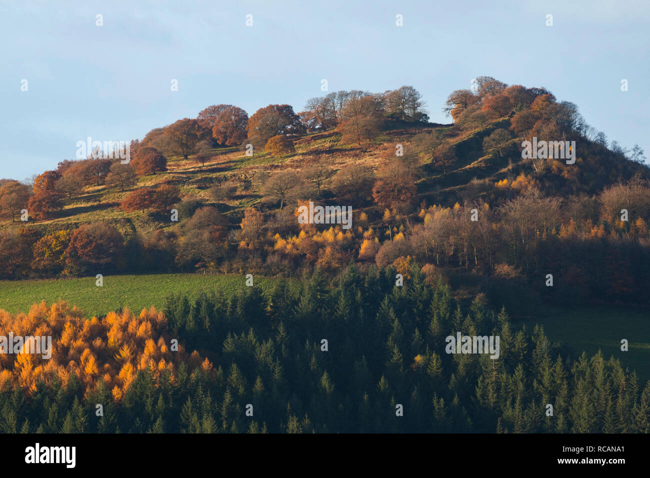 Burrow Hill Iron Age Hill fort von hopesay Gemeinsame gesehen, in der Nähe von Craven Arms, Shropshire. Stockfoto