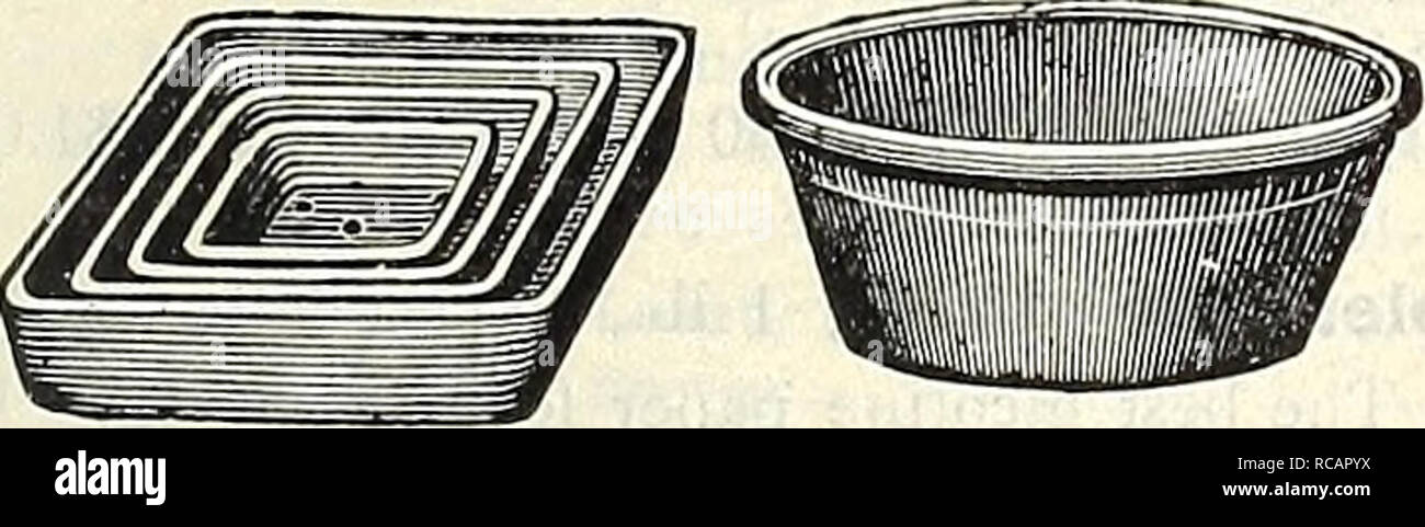 . Dreer ist Herbst Katalog 1905. Die Glühbirnen (Pflanzen) Kataloge; Blumen Samen Kataloge; Gartengeräte und Zubehör Kataloge; Baumschulen (Gartenbau) Kataloge ; Obst ; Gemüse Samen Samen Kataloge Kataloge. Holzfaser Kollinij steht für Schwere Pflanzen. in Topf 0 $." iO 12. "60 Außerhalb diam. Innendurchm Nr. 12, 135 ^m. 12 in. "15, 16 %. 15'n. 12 14 16 18 2 II, 22 in, 14 in, IB in, 18 in, 20 in. .75 f5 I (lO1 20 Blumentöpfe, Untersetzer, Orchidee, Körbe, etc. Saatschalen. Bitte beachten Sie, dass diese Bilder extrahiert werden aus der gescannten Seite Bilder, gewesen sein kann Stockfoto