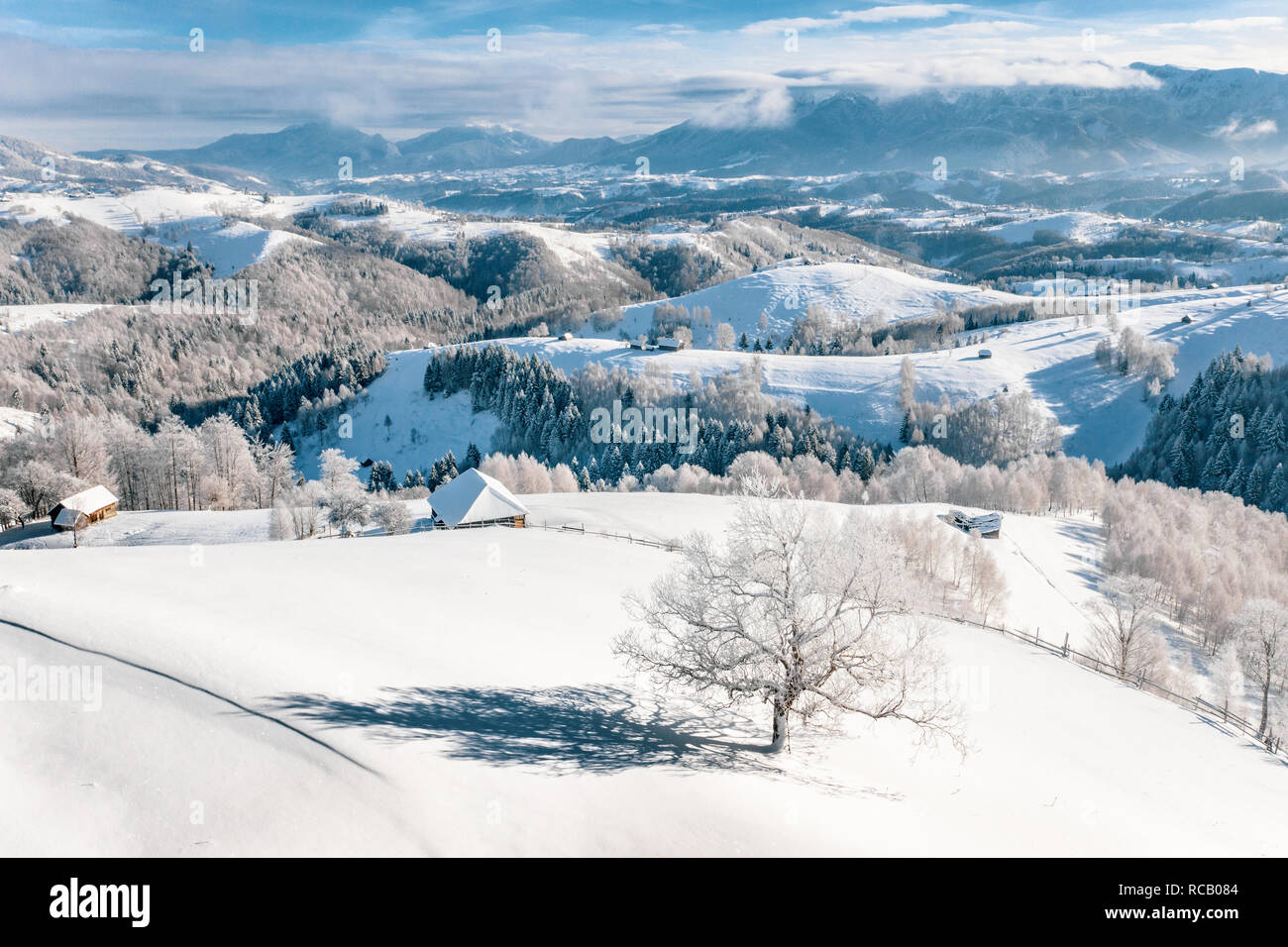 Starker Schneefall in Rumänien in der Kleie Rucar Pass in Siebenbürgen in der Nähe von Brasov und Sinaia Stockfoto