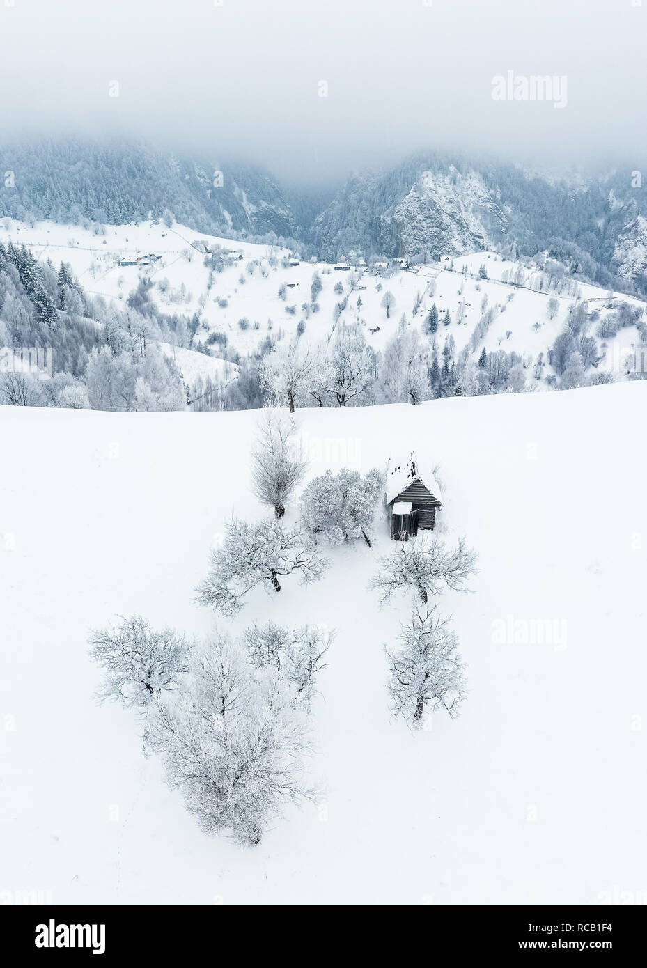 Winter in Rumänien in Sirnea Dorf in der Nähe von Bran und Brasov Stockfoto