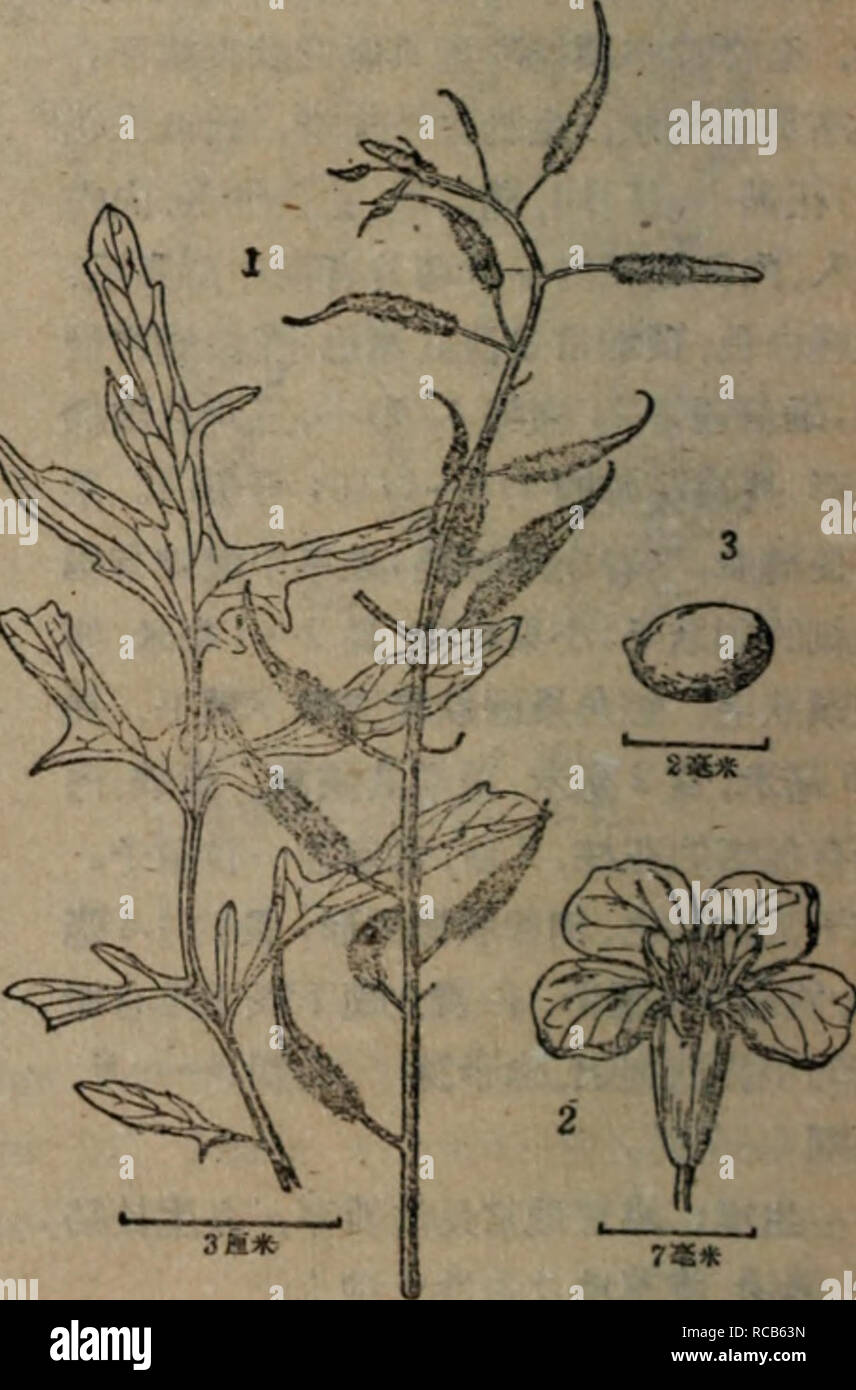 Usa Urss Stockfotos Und Bilder Kaufen Alamy