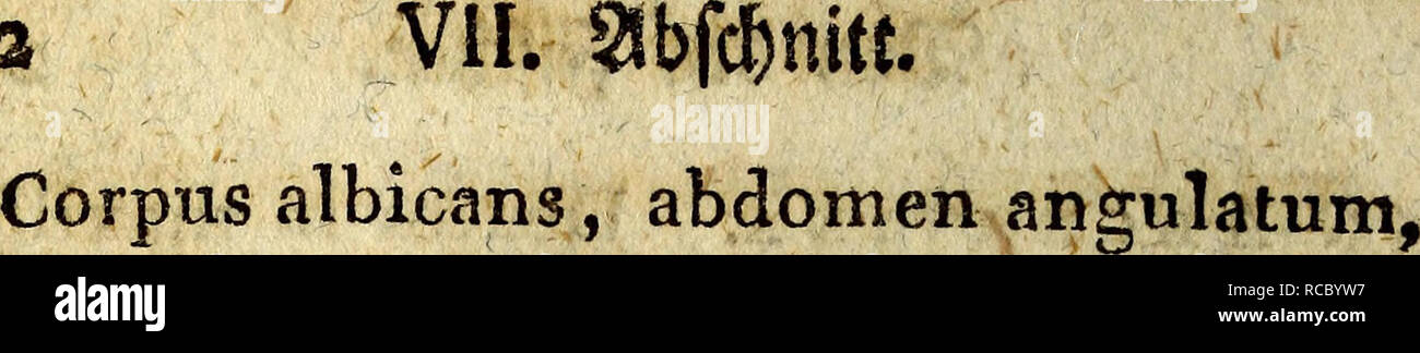 . D. in Joh. Die Fried. Blumenbach ist Prof. zu Göttingen und KÃ¶nigl. Grossbrit. Hofraths Handbuch der Naturgeschichte. Natural History. 292. außenohren pectorales Maxime volatiles, radiis antice carinatis. r, Volitans. Der fliegend Rating. E. abdo - Grube vtrinque carinato. Gesnkr s. 653. &Gt; Â© er â" gemetafle aSev fliegenben gifd)*. Jlnbet ftcl? Mei#in allen warmem SBelimeeren;. groÃen tfyeilS in diversen, 57. Pol in Emvs, Caput, compreflum vndique fquamofum: roÃro obtufifÃmo prominente. Merabr. Zweig. Rad. 5. veI-7. Corpus digitis Liberis ad pinnas pectorales. I. Quinquarius. S. digitis Quinque corpore Stockfoto