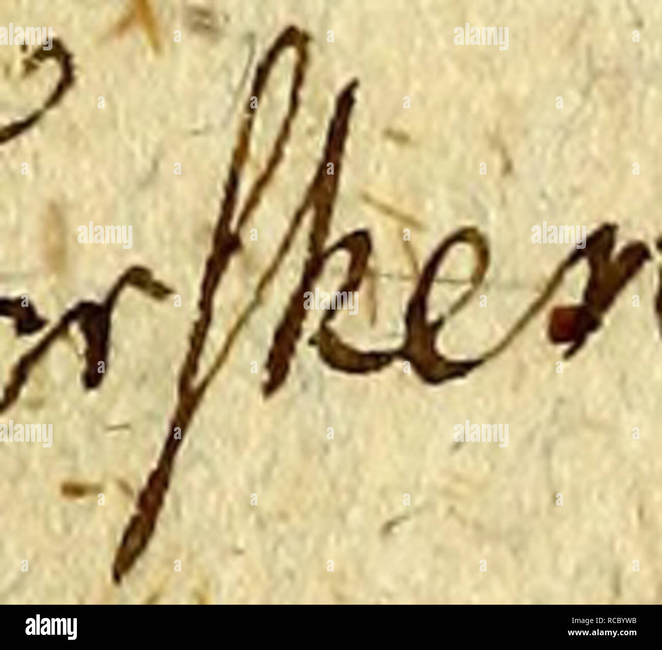 . D. in Joh. Die Fried. Blumenbach ist Prof. zu Göttingen und KÃ¶nigl. Grossbrit. Hofraths Handbuch der Naturgeschichte. Natural History. 274 VII. 3 lbf $ nitt. jcula claufa. Corpus nudum. Außenohren ventrales remotiflimae. I. in der Lyra. (St. h lacert, (Engl, die Piper.) C. dorfalis prioris radiis longitudine corporis. ? MocÂ £&gt; Registerkarte. IÃÂ £. '3 m atlantifd&gt; cn Seeon. S 5. Vranoscopvs. Caput depreflum, fcabrum, maius. Os funum, Oberkiefer fuperior breuior. Membr. Zweig. ra-Diis 5 5 Anus im Medio. Ich Scaber. Ã¶ et Â© ternfeber. (Â§t. leboeuf. (Engl. "Die-Ãar Gaffer.) V. cirris Multis im maxiÃ¼a Inferiore. Â "Loci) T "t-1 Stockfoto