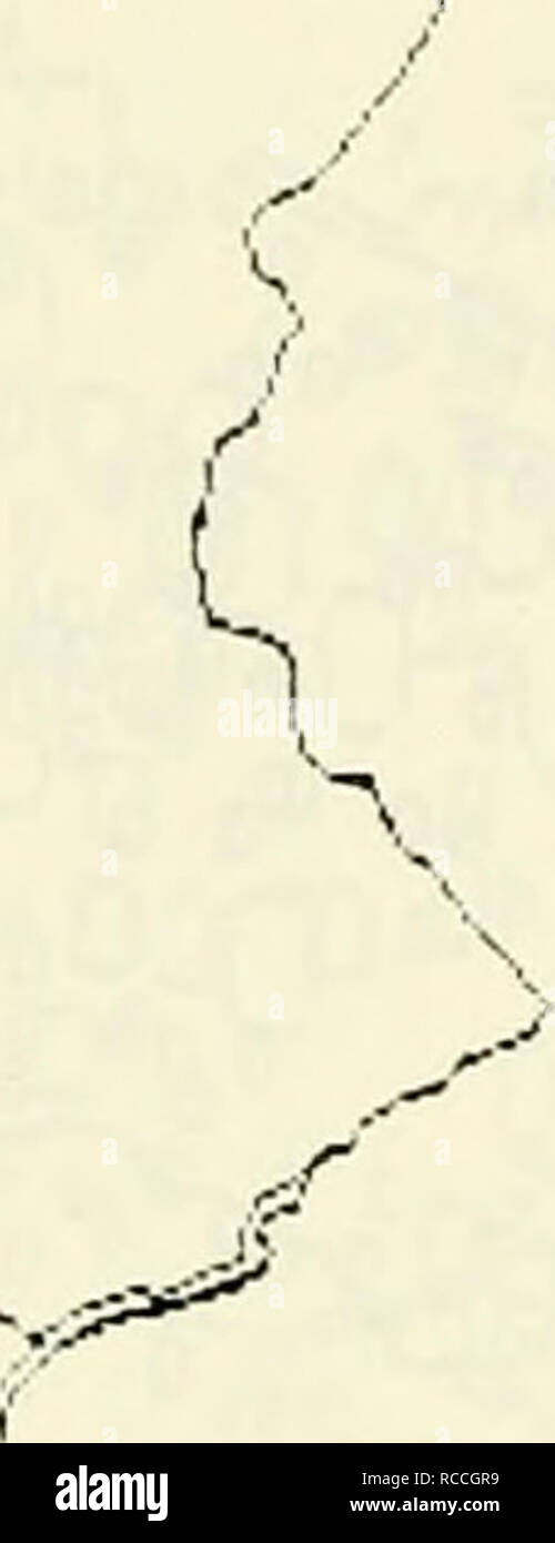 . Verbreitung und Häufigkeit Trends von 22 ausgewählten Arten im mittleren Atlantik Bucht von Grundschleppnetzen Besichtigungen während 1967-1979: Abschlussbericht an den US-Mineral [s] Management Service. Fische-- Mid-Atlantic Golf geographische Verteilung; Fischpopulationen - Mid-Atlantic Bucht. NMFS/NEFC-WOQQS LOCH UNTEN LfiBGRATflRT TRflWL UMFRAGE CfiTCH Dh "F0U R S P 0 ICH FLO U N D ER KÜSTENNAHE / DER "SHORE FRÜHJAHR 196 S-L979 4a SS. &Lt;r^Jahre 00,^JT, Ba i Ft 0 5. iPf^^^. i--y/i i â' o * o ,1-' o - o - s - wenn -> v: vi ' " ' 1 '-l o. ,, T, J ICH. g< • o "0. Â" Ich 4 V^. 0 n° 0, wenn Stockfoto