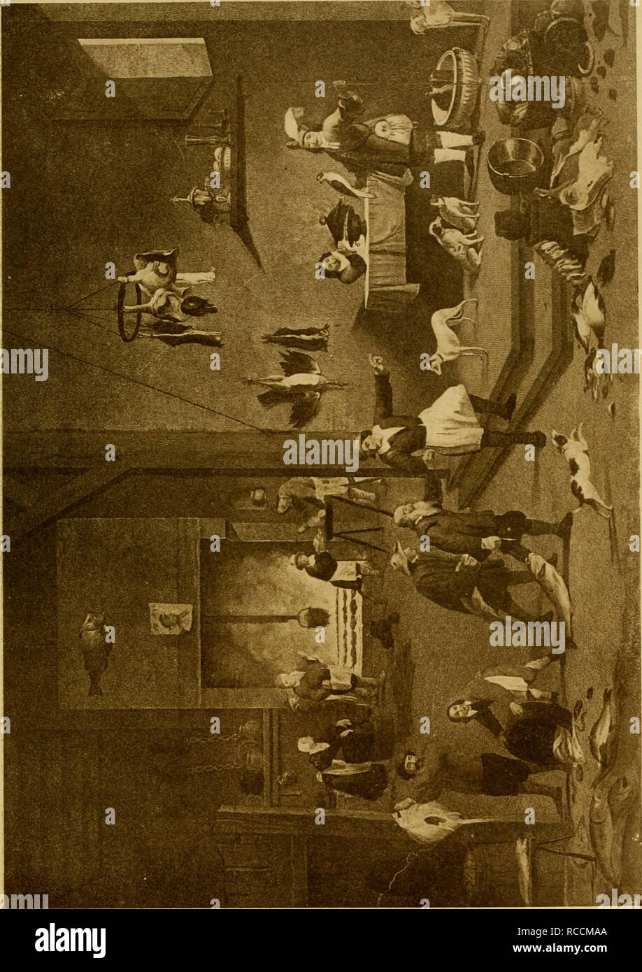 . Der Hund Buch eine populäre Geschichte des Hundes, mit praktischen