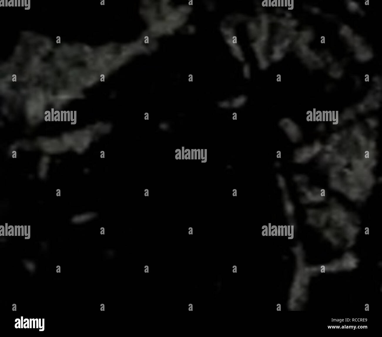 . Dong Wu bei Zhi tu Yao Zhi. Botanik. JWJr 153.??? m. Fr 124.??(??????. Bitte beachten Sie, dass diese Bilder sind von der gescannten Seite Bilder, die digital für die Lesbarkeit verbessert haben mögen - Färbung und Aussehen dieser Abbildungen können nicht Perfekt ähneln die ursprüngliche Arbeit.. Xiao rui Pei gen, Feng Zhi, Zhang hui Lan, Lou zhi Cheng, Cheng jing Rong, Chun Li Ying, Zhang hui Xia. ren wei sheng Ming Chu verbot sie extrahiert Stockfoto