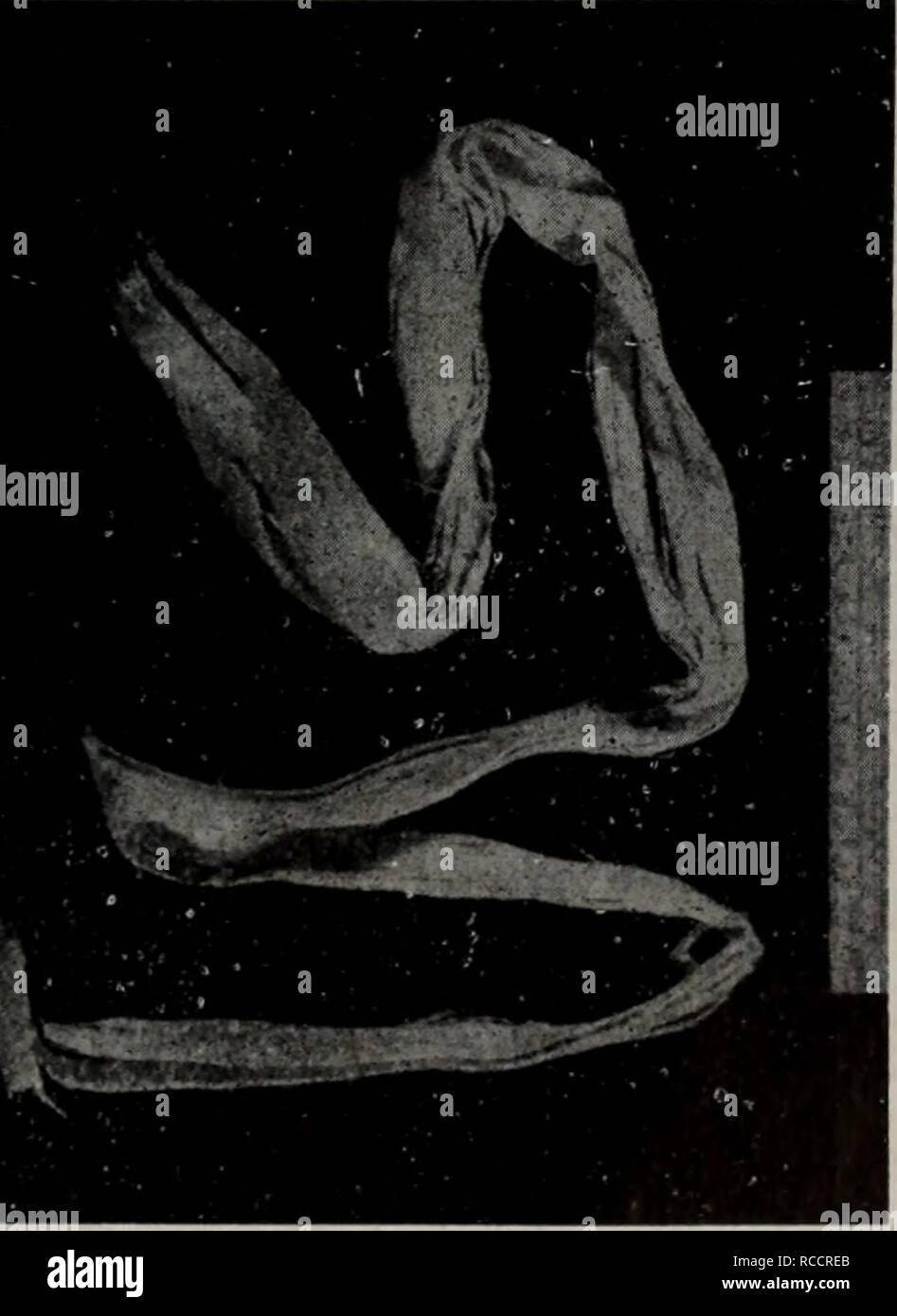 . Dong Wu bei Zhi tu Yao Zhi. Botanik. Ç§ ç.121. å/C^Cucurbita moscha^a Duch. Ç§ ç 122. å¤ae¯è. JWJr 153. ae¡Ç½ç® m.fr 124. ae¡å¶ (åèªae¤ç © ae ¡ Sie. Bitte beachten Sie, dass diese Bilder sind von der gescannten Seite Bilder, die digital für die Lesbarkeit verbessert haben mögen - Färbung und Aussehen dieser Abbildungen können nicht Perfekt ähneln die ursprüngliche Arbeit.. Xiao rui Pei gen, Feng Zhi, Zhang hui Lan, Lou zhi Cheng, Cheng jing Rong, Chun Li Ying, Zhang hui Xia. ren wei sheng Ming Chu verbot sie extrahiert Stockfoto